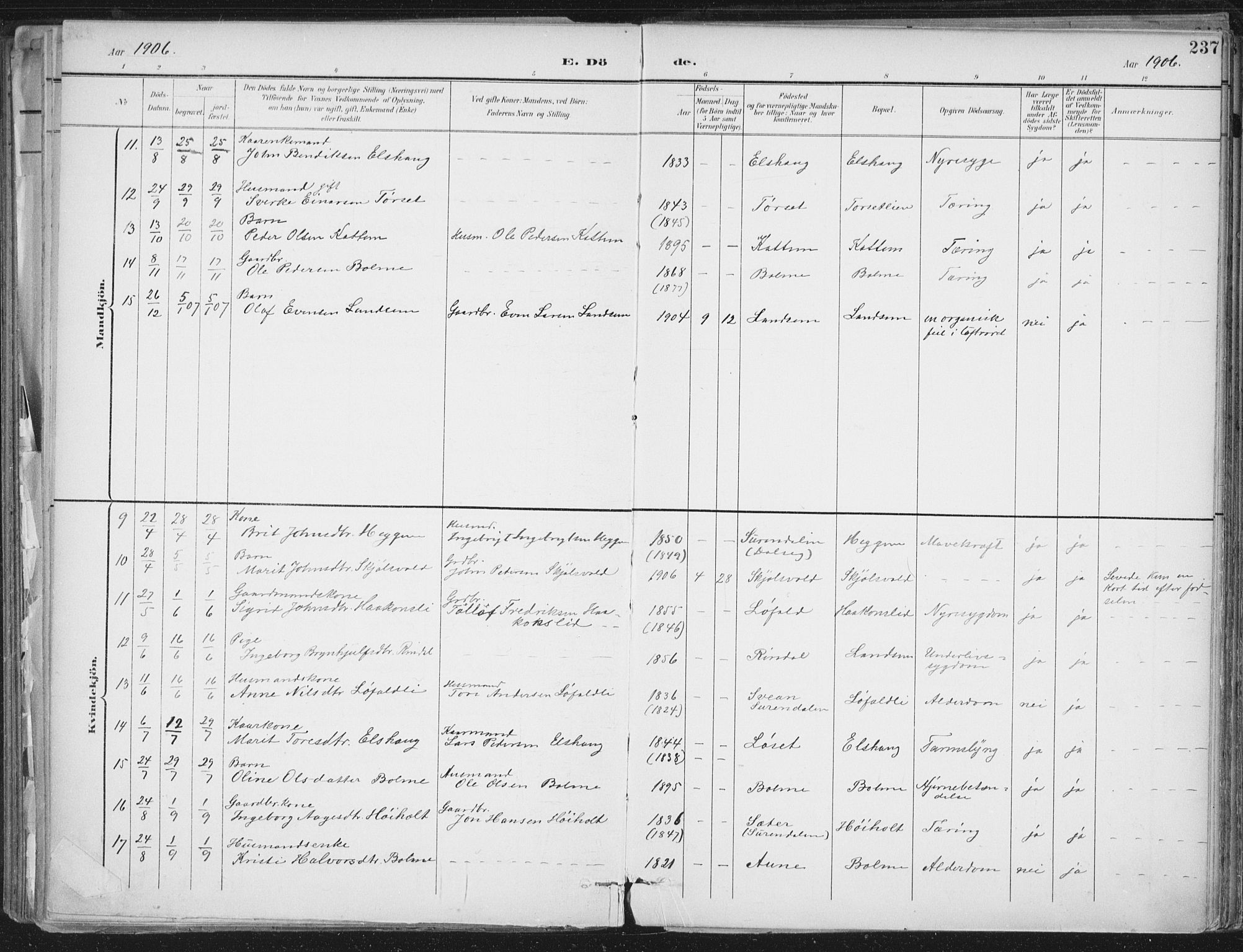 Ministerialprotokoller, klokkerbøker og fødselsregistre - Møre og Romsdal, AV/SAT-A-1454/598/L1072: Parish register (official) no. 598A06, 1896-1910, p. 237