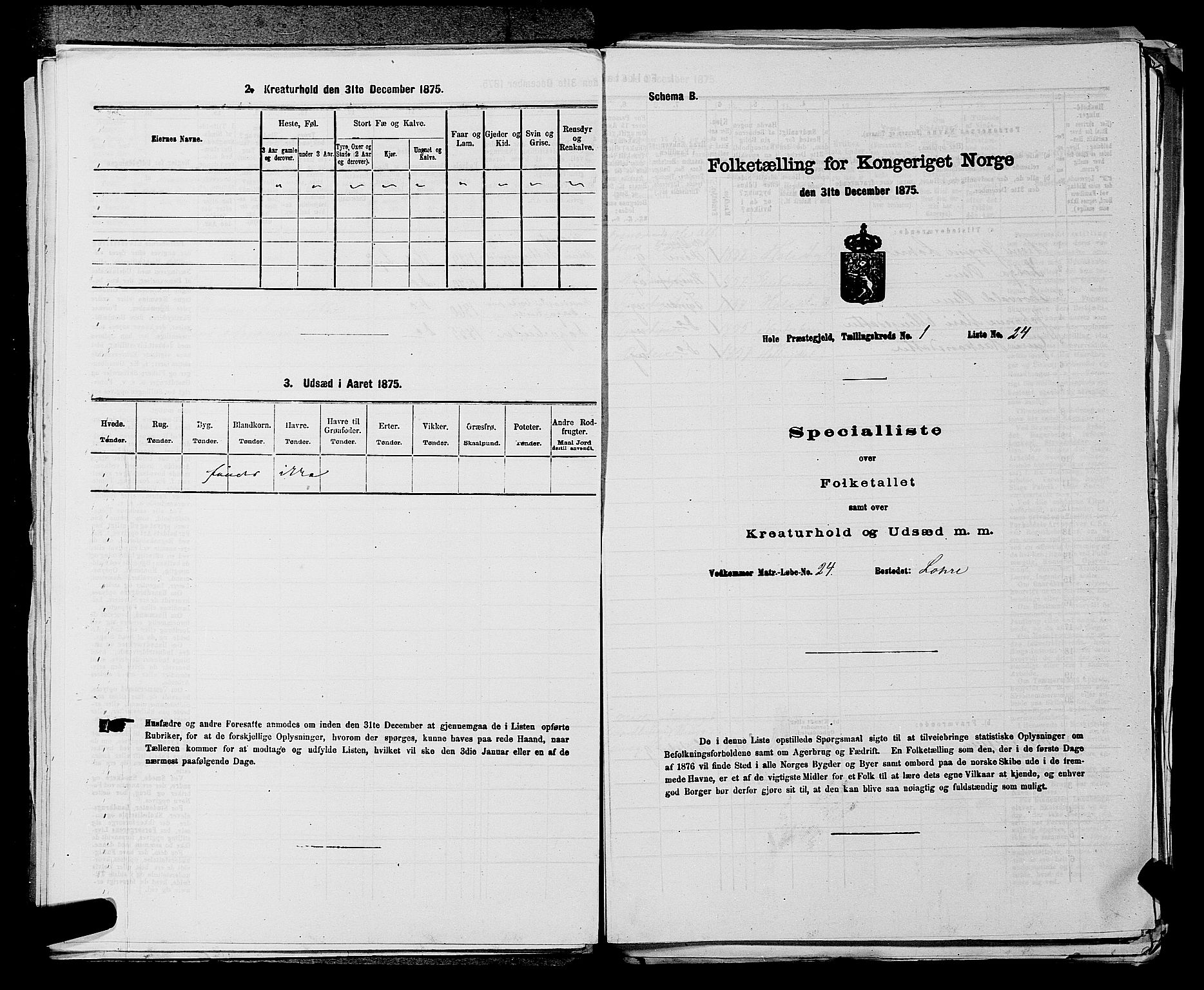 SAKO, 1875 census for 0612P Hole, 1875, p. 163