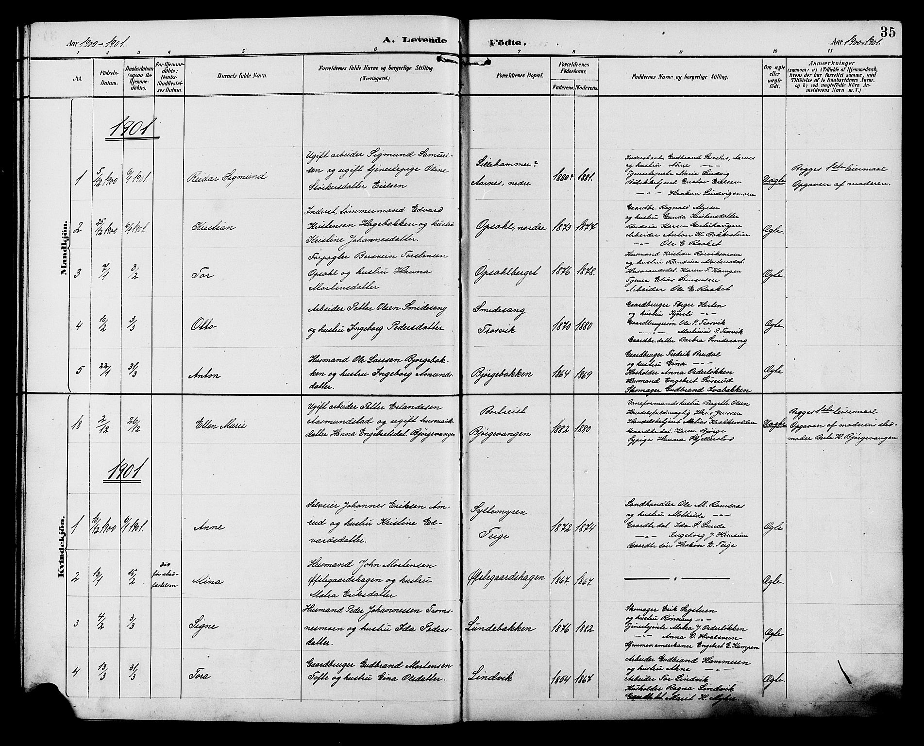Ringebu prestekontor, SAH/PREST-082/H/Ha/Hab/L0007: Parish register (copy) no. 7, 1890-1910, p. 35