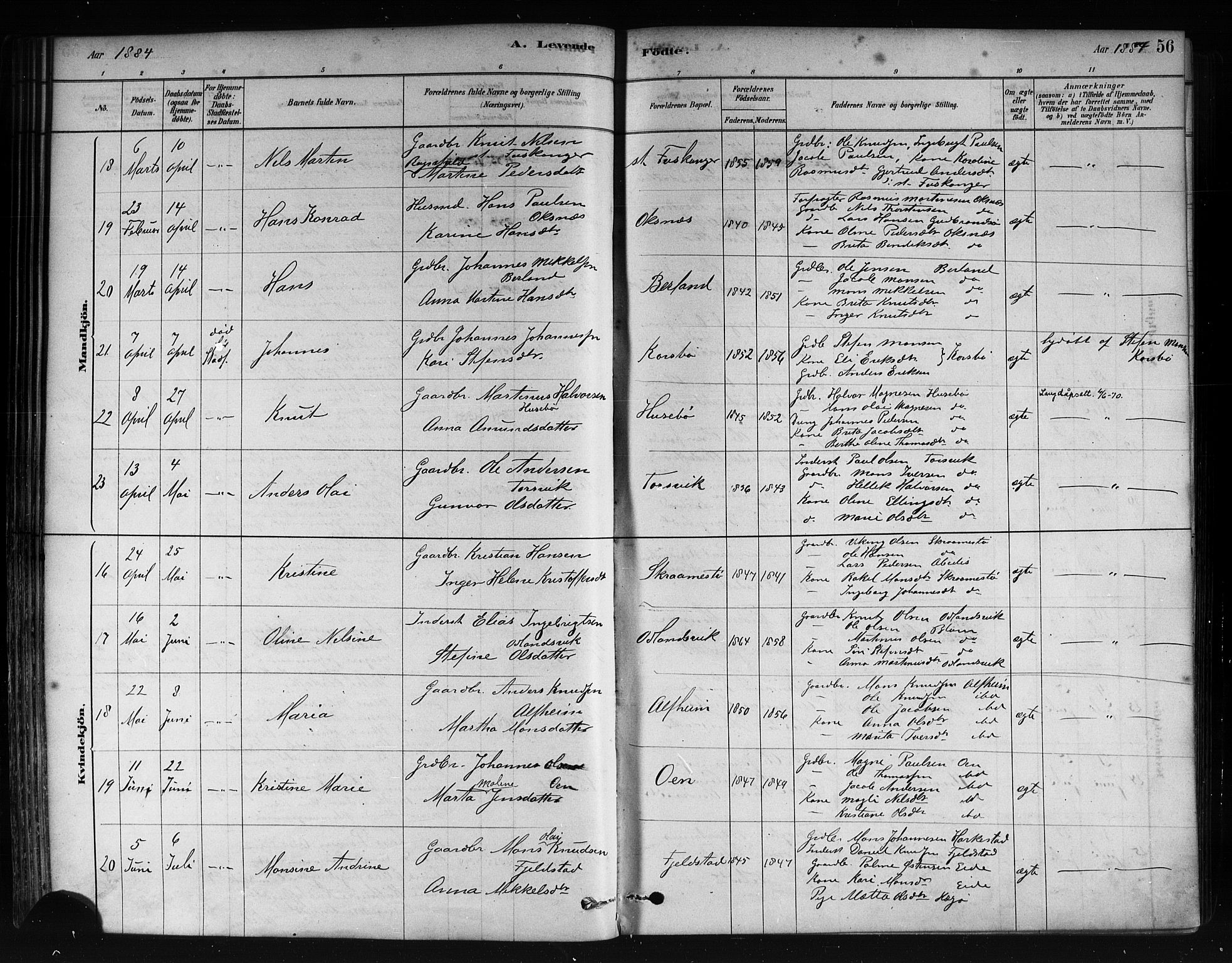 Herdla Sokneprestembete, AV/SAB-A-75701/H/Haa: Parish register (official) no. A 3, 1878-1890, p. 56