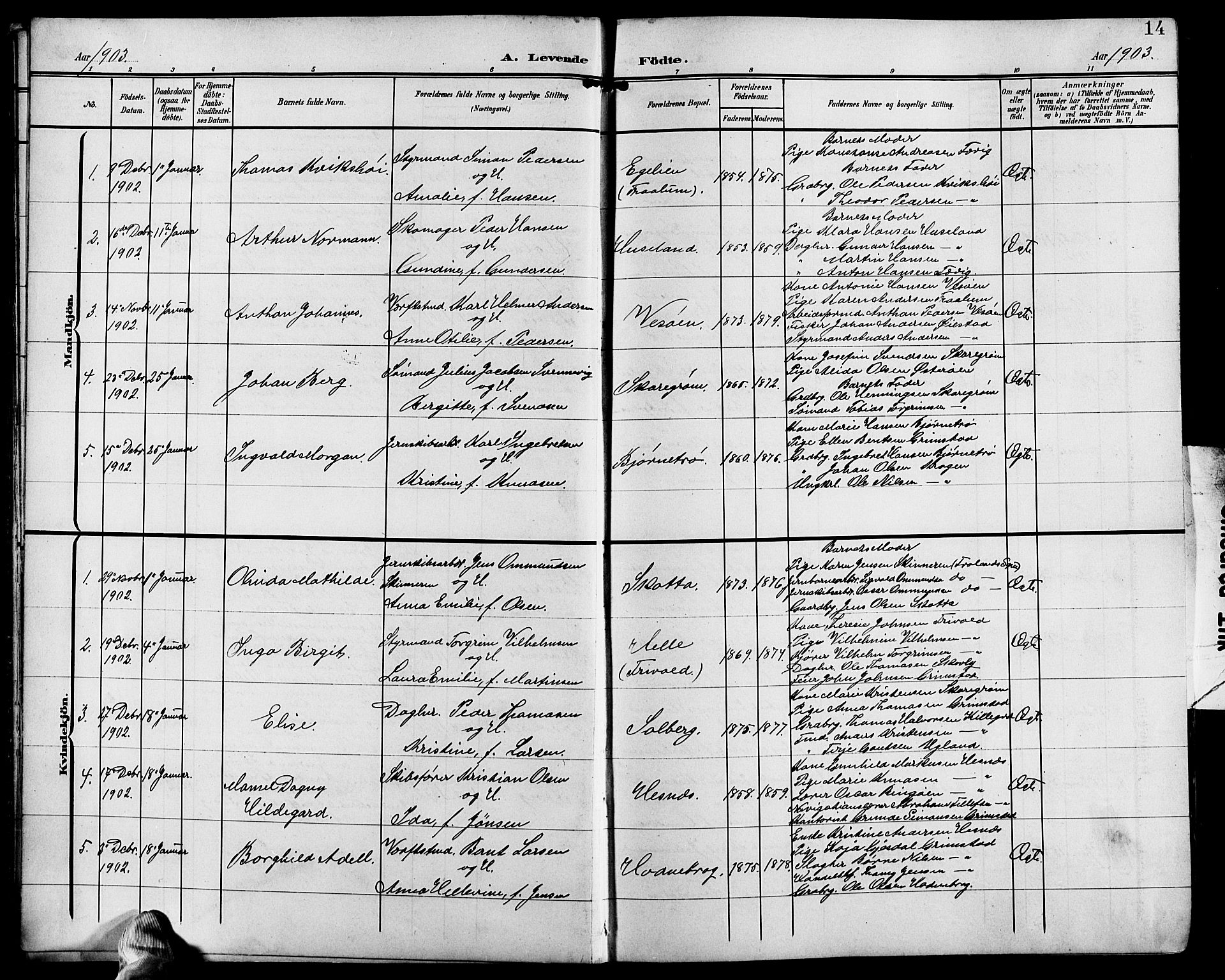 Fjære sokneprestkontor, SAK/1111-0011/F/Fb/L0012: Parish register (copy) no. B 12, 1902-1925, p. 14