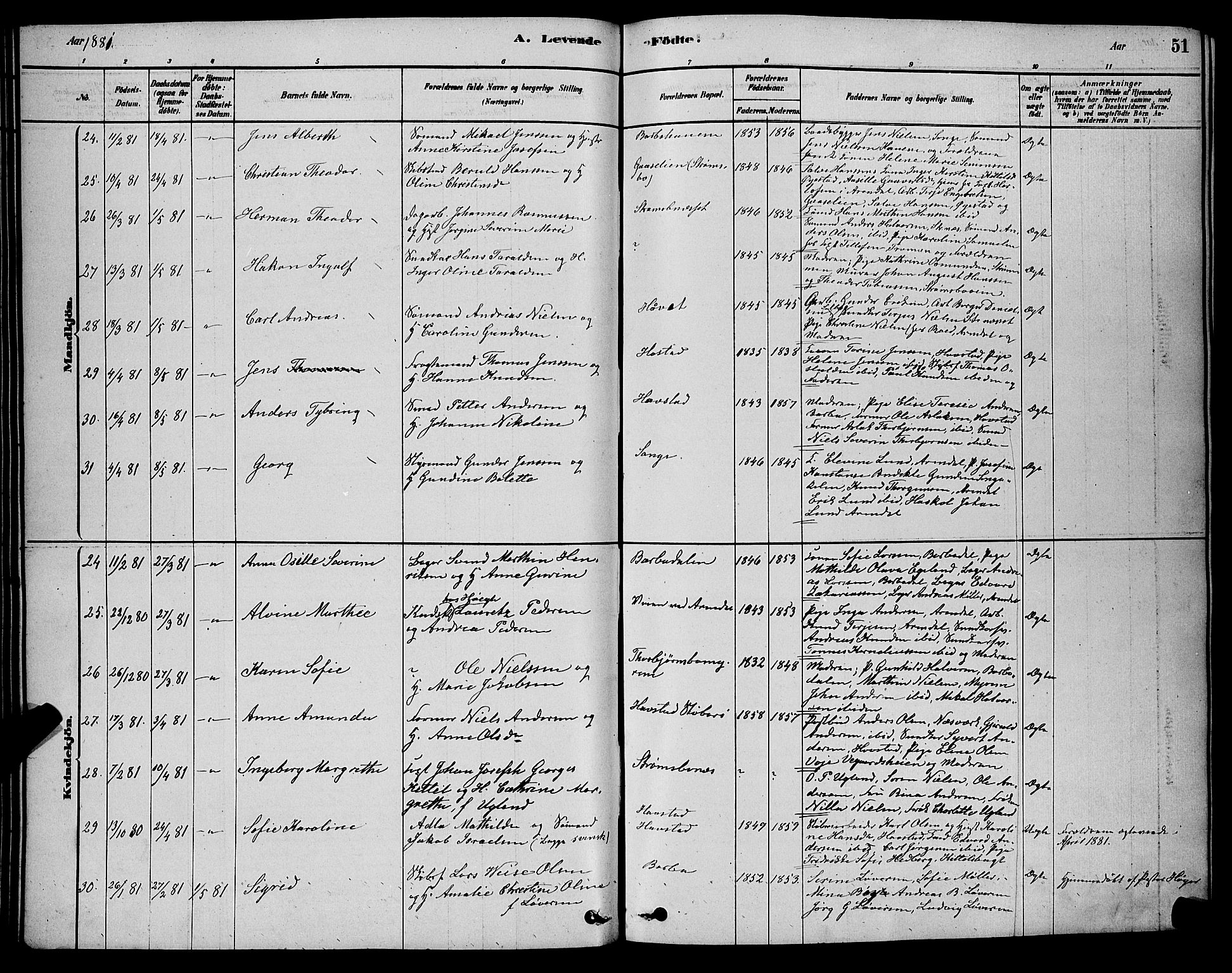 Barbu sokneprestkontor, AV/SAK-1111-0003/F/Fb/L0001: Parish register (copy) no. B 1, 1878-1890, p. 51