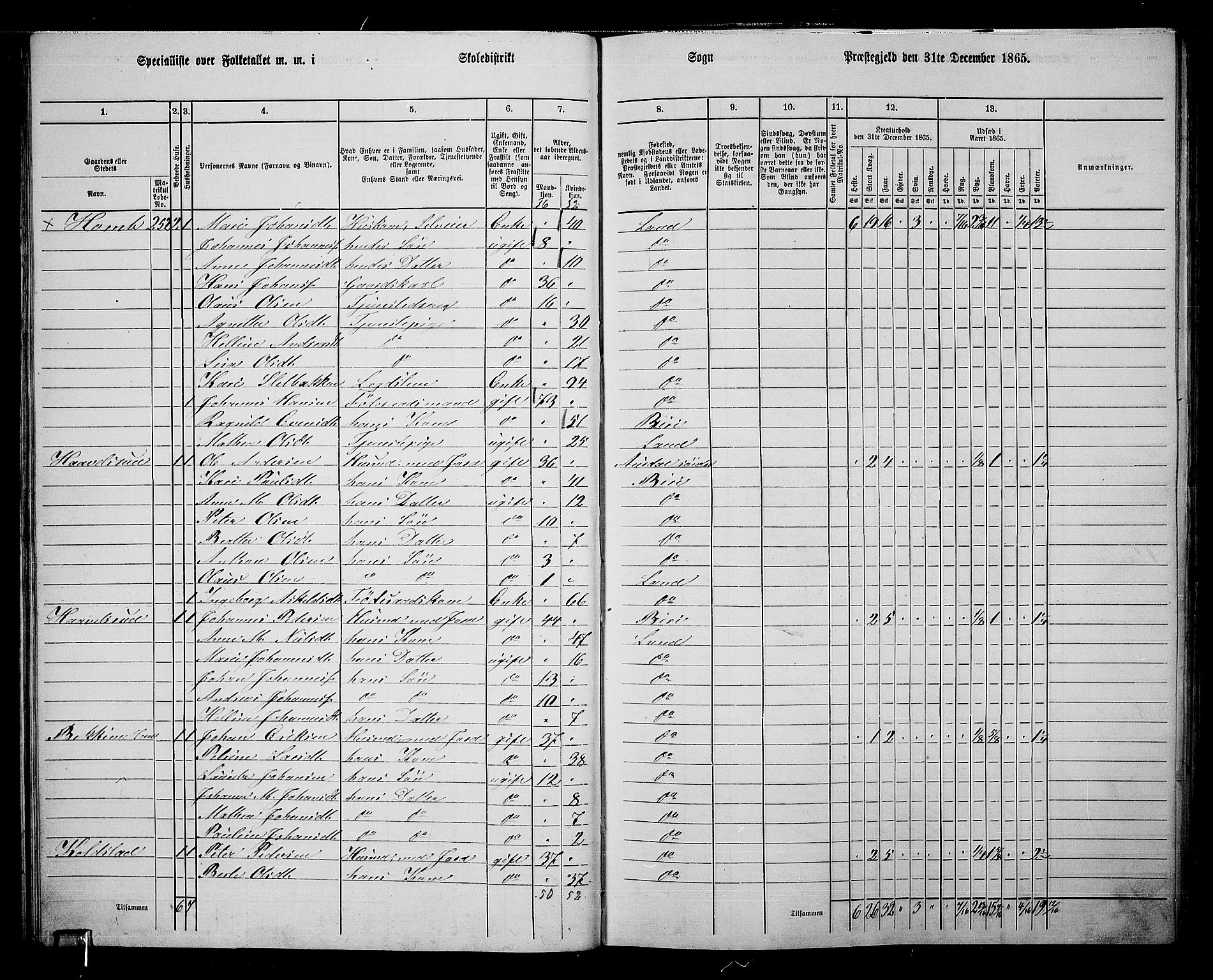 RA, 1865 census for Land, 1865, p. 259