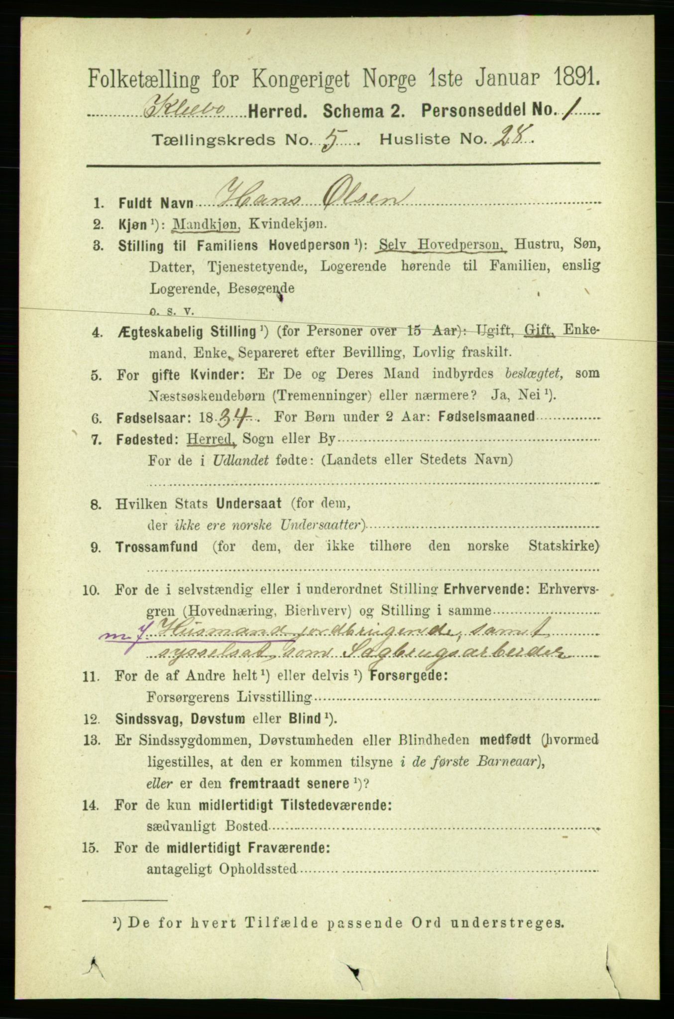 RA, 1891 census for 1662 Klæbu, 1891, p. 1201