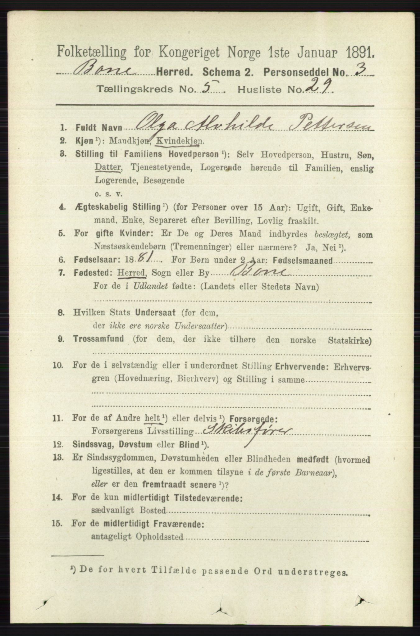 RA, 1891 census for 0717 Borre, 1891, p. 2196