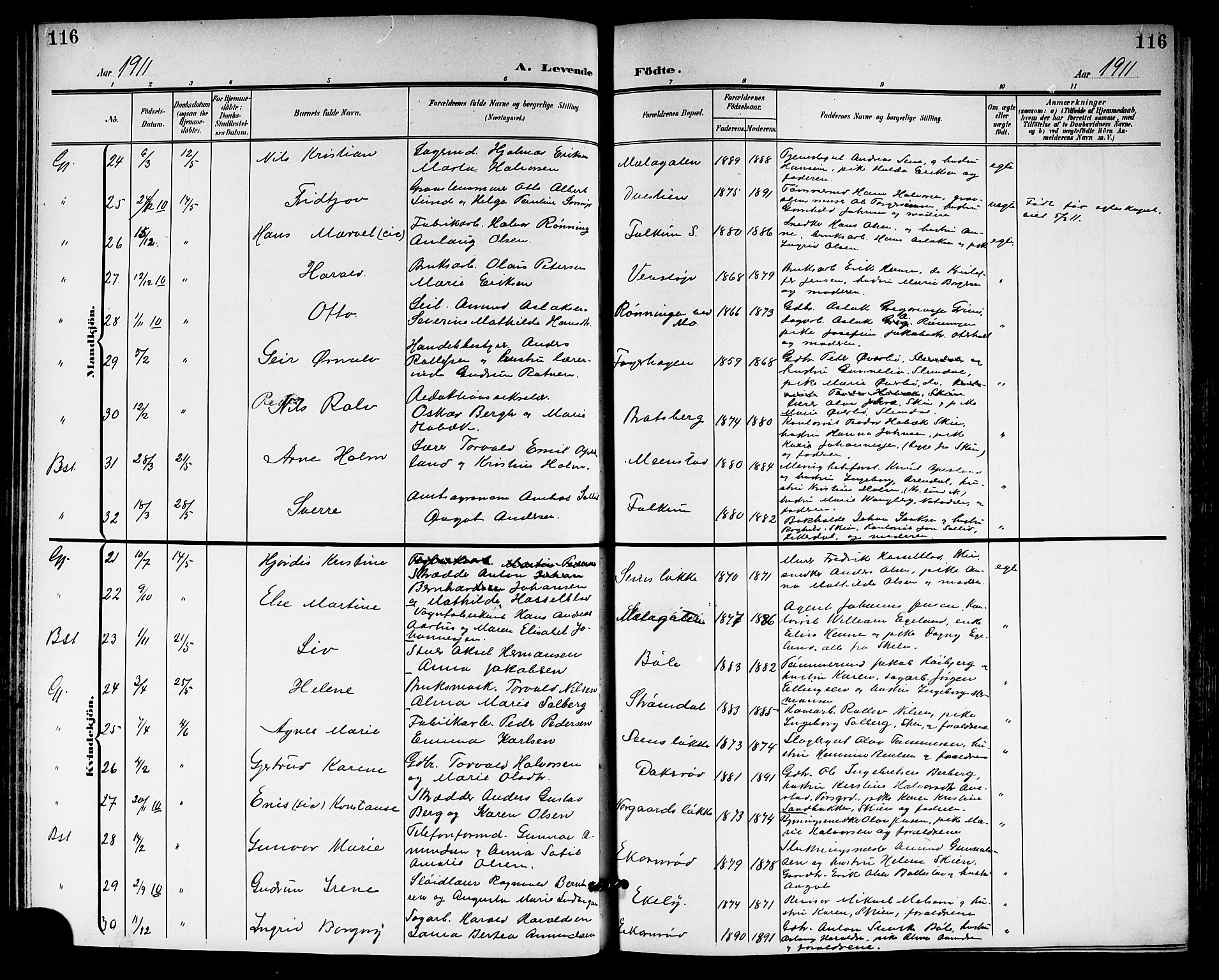 Gjerpen kirkebøker, SAKO/A-265/G/Ga/L0003: Parish register (copy) no. I 3, 1901-1919, p. 116