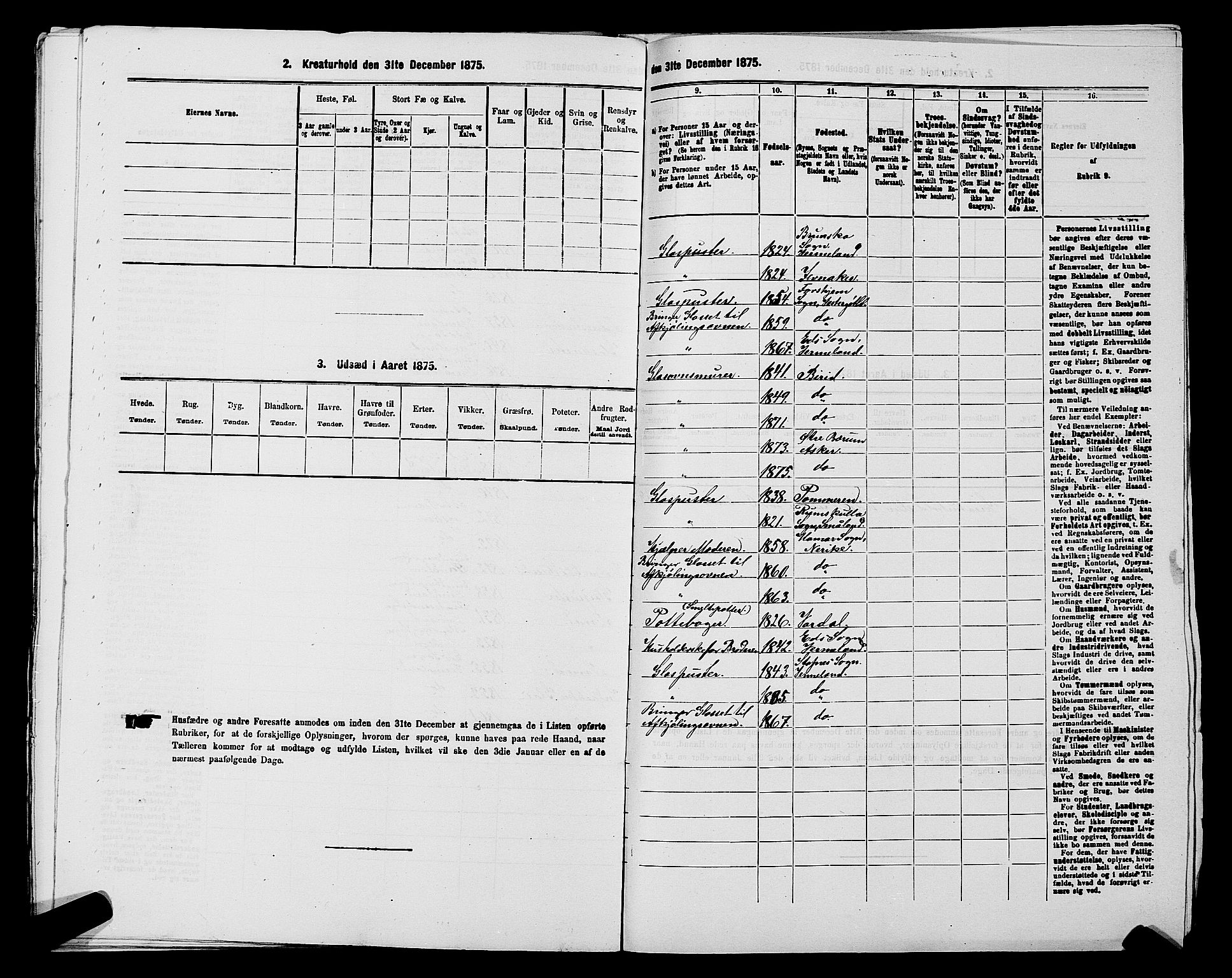 RA, 1875 census for 0220P Asker, 1875, p. 1416