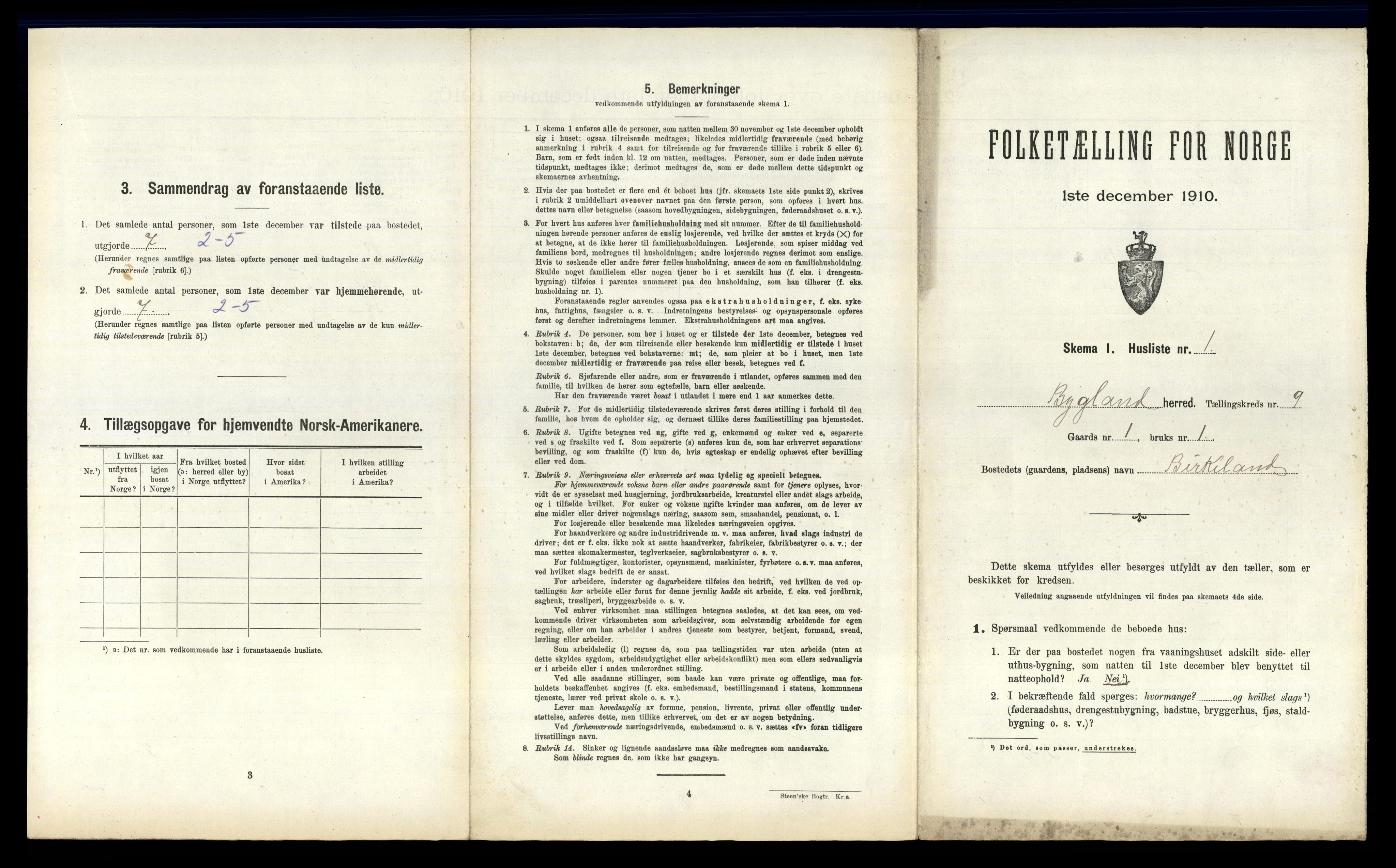 RA, 1910 census for Bygland, 1910, p. 685