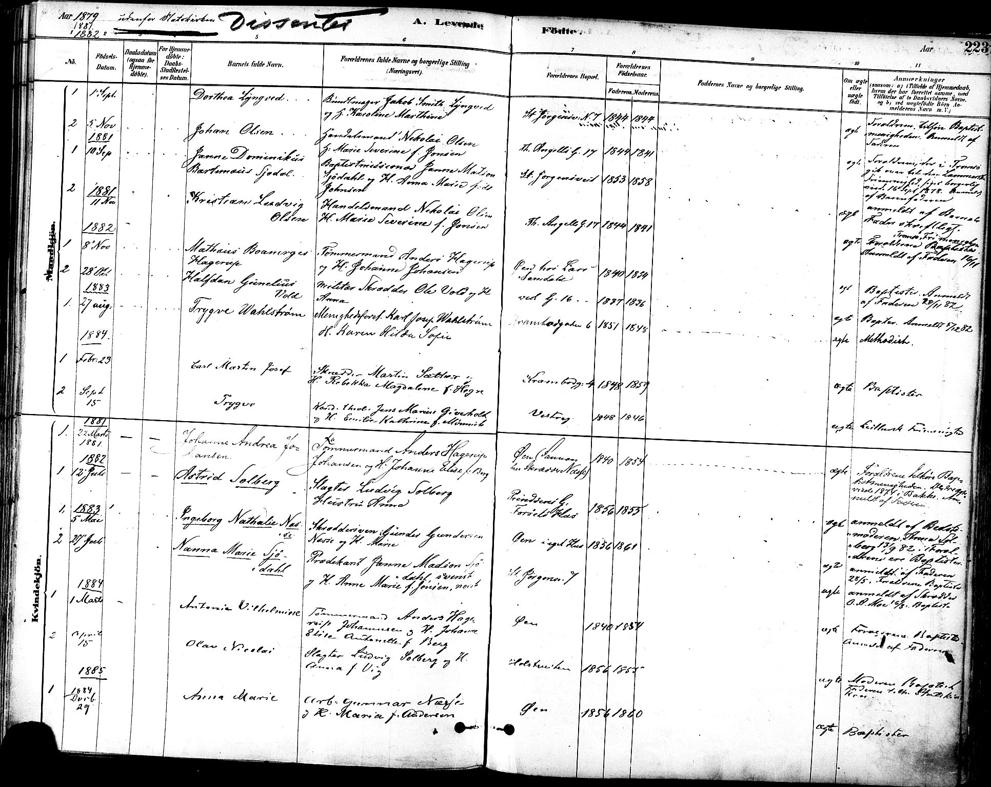 Ministerialprotokoller, klokkerbøker og fødselsregistre - Sør-Trøndelag, SAT/A-1456/601/L0057: Parish register (official) no. 601A25, 1877-1891, p. 223