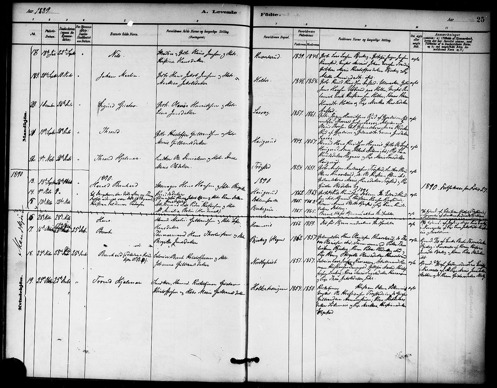 Nannestad prestekontor Kirkebøker, AV/SAO-A-10414a/F/Fb/L0001: Parish register (official) no. II 1, 1881-1890, p. 25