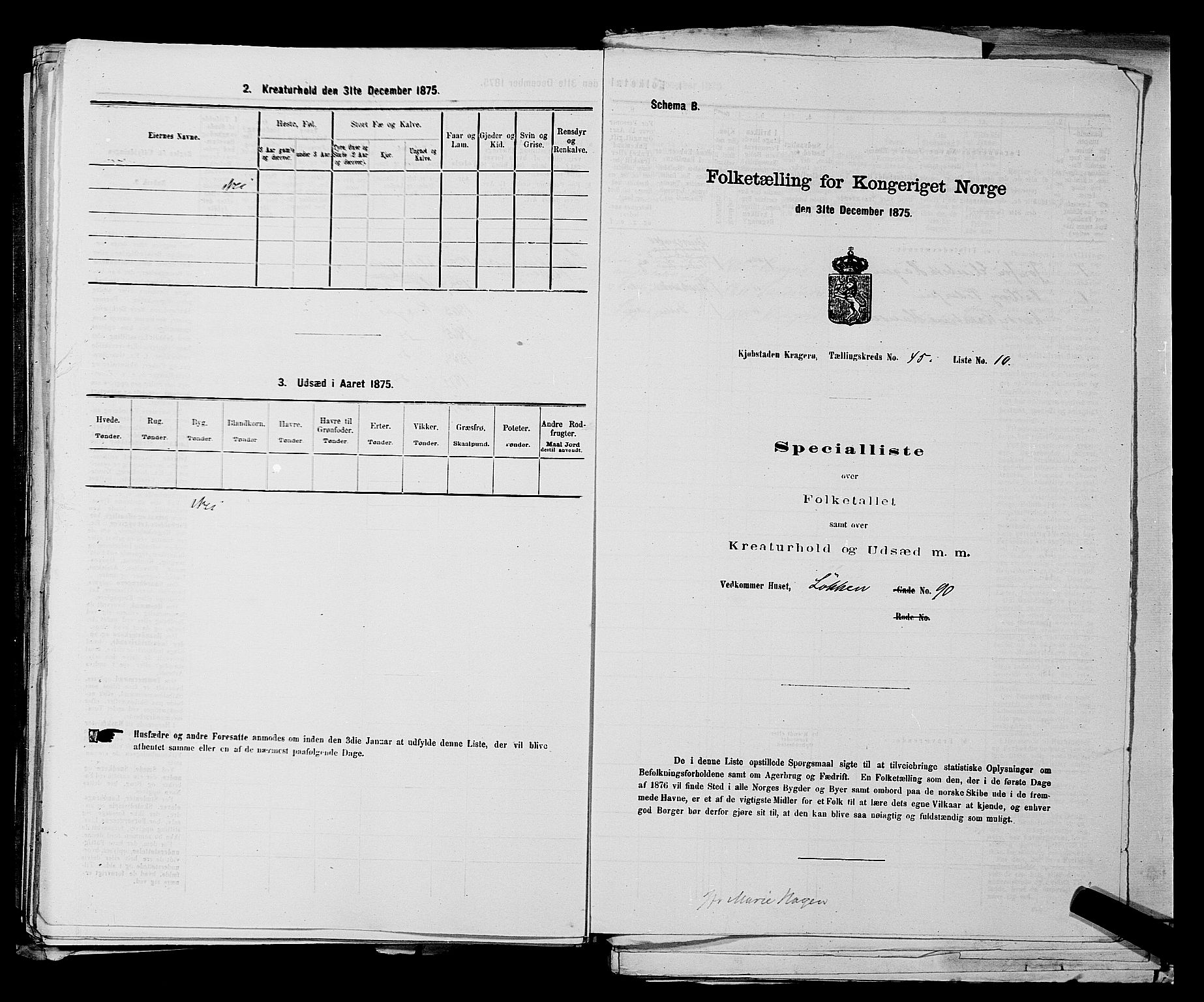 SAKO, 1875 census for 0801P Kragerø, 1875, p. 1007