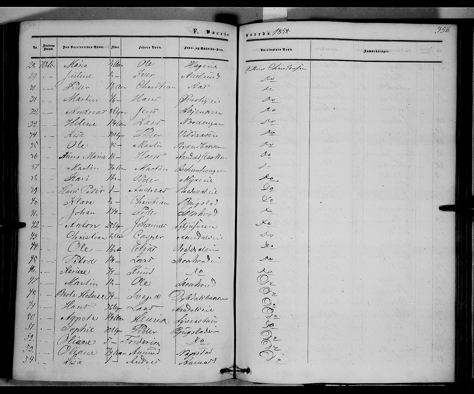 Vardal prestekontor, SAH/PREST-100/H/Ha/Haa/L0006: Parish register (official) no. 6, 1854-1866, p. 356