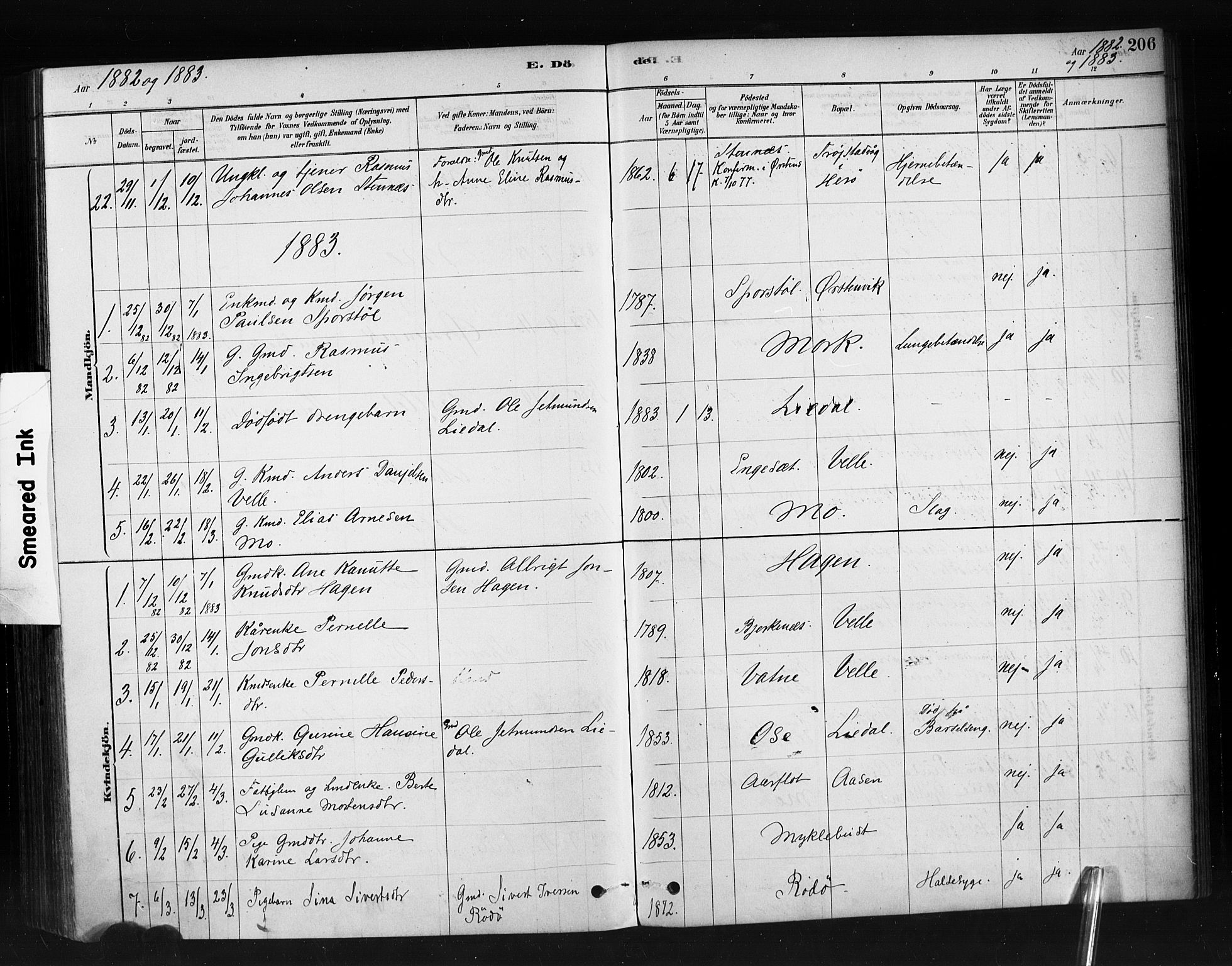 Ministerialprotokoller, klokkerbøker og fødselsregistre - Møre og Romsdal, AV/SAT-A-1454/513/L0176: Parish register (official) no. 513A03, 1877-1889, p. 206