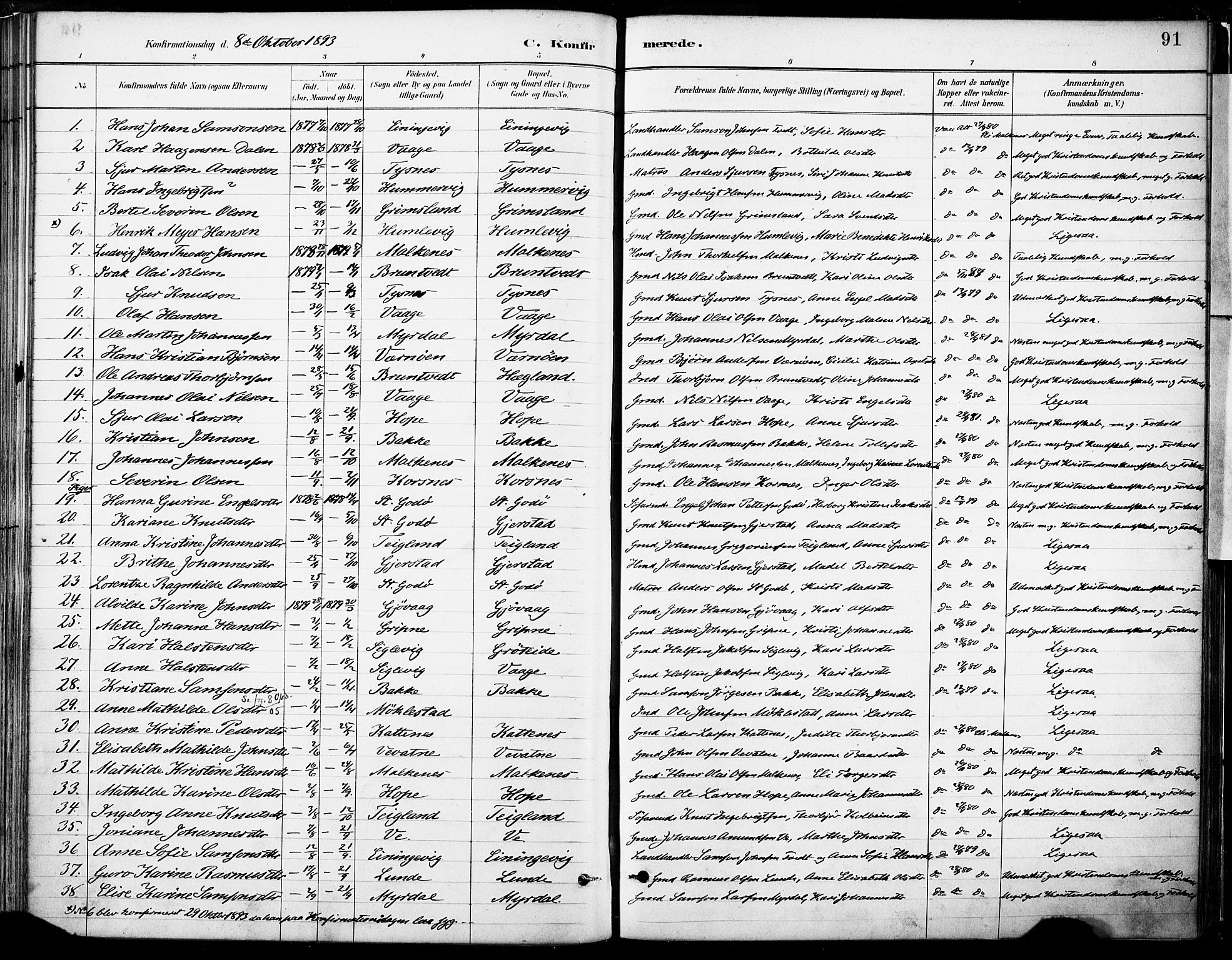 Tysnes sokneprestembete, SAB/A-78601/H/Haa: Parish register (official) no. B 1, 1887-1906, p. 91