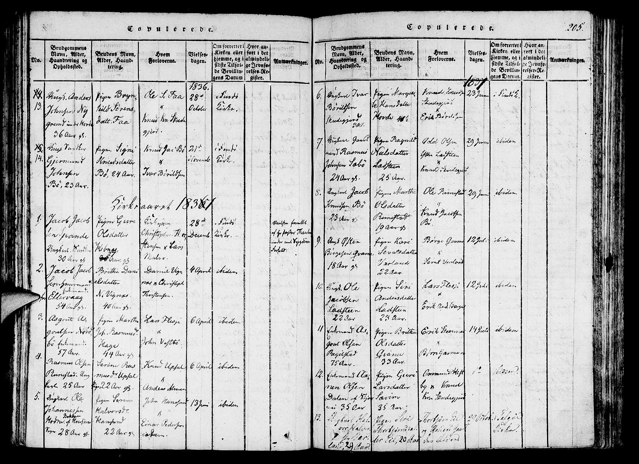 Finnøy sokneprestkontor, SAST/A-101825/H/Ha/Haa/L0006: Parish register (official) no. A 6, 1816-1846, p. 205