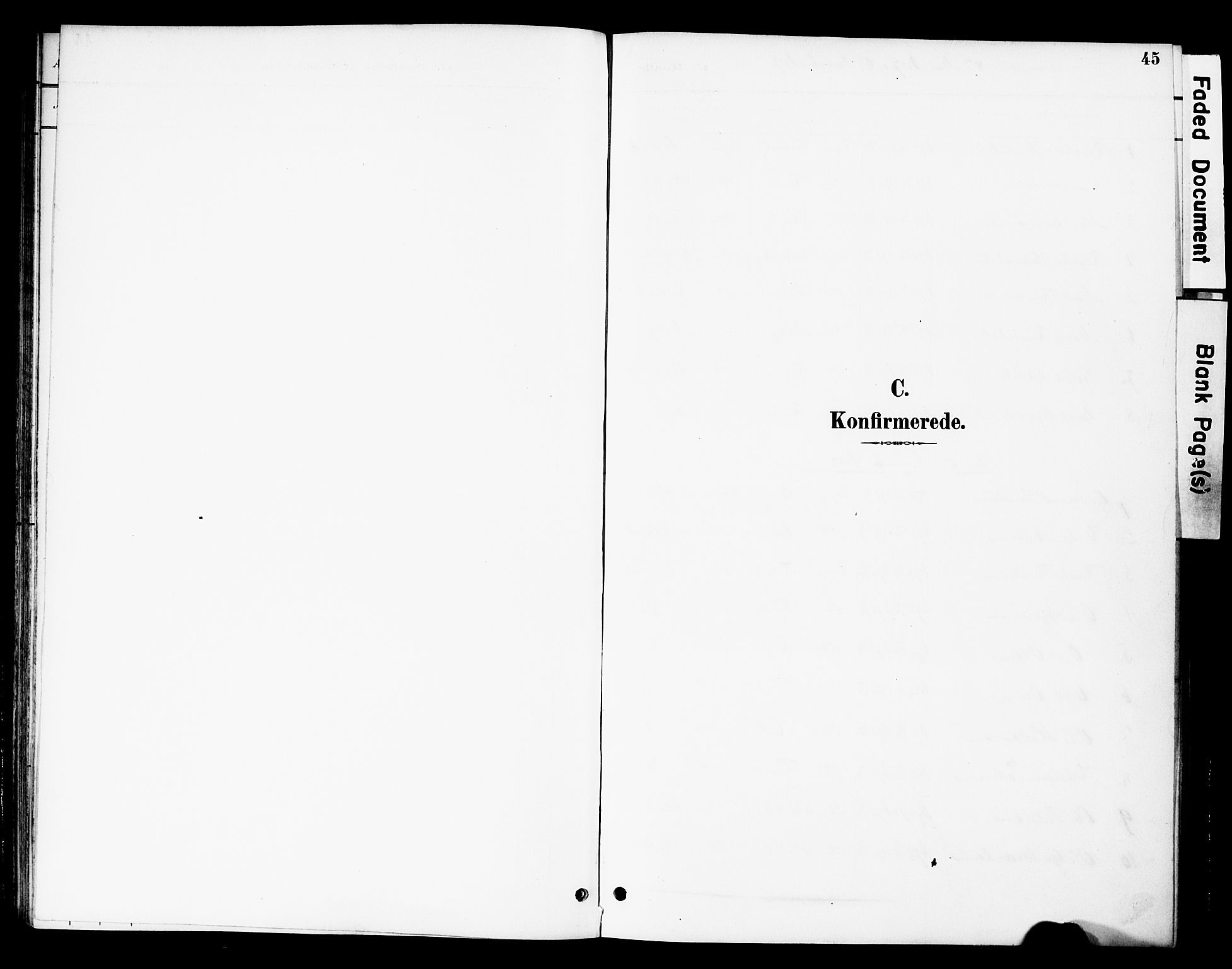 Øystre Slidre prestekontor, SAH/PREST-138/H/Ha/Haa/L0003: Parish register (official) no. 3, 1887-1910, p. 45