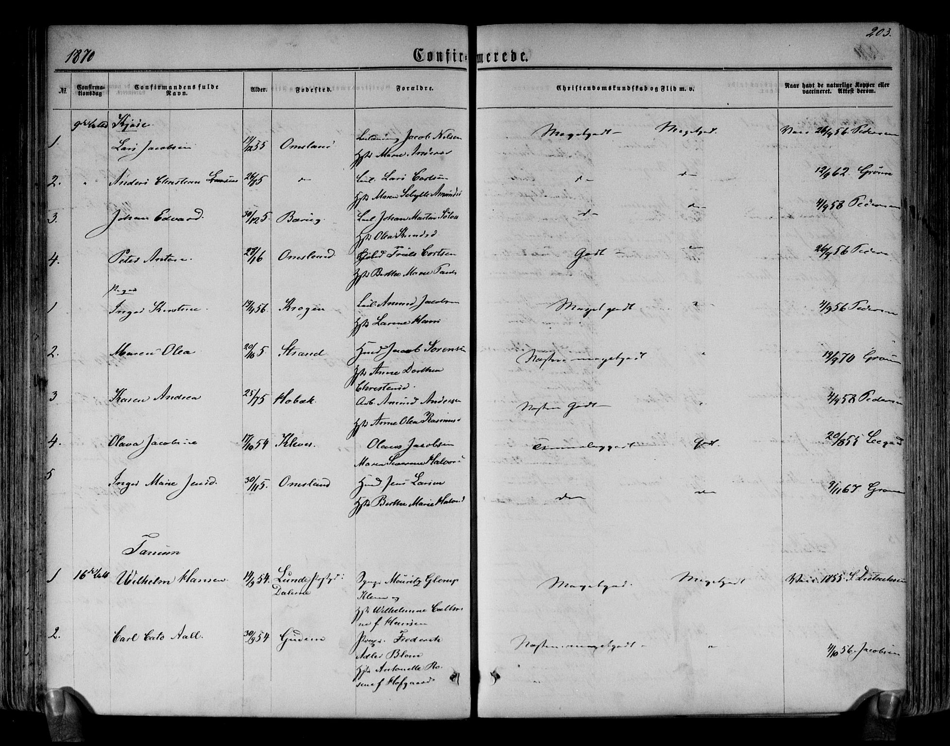 Brunlanes kirkebøker, AV/SAKO-A-342/F/Fa/L0005: Parish register (official) no. I 5, 1862-1877, p. 203