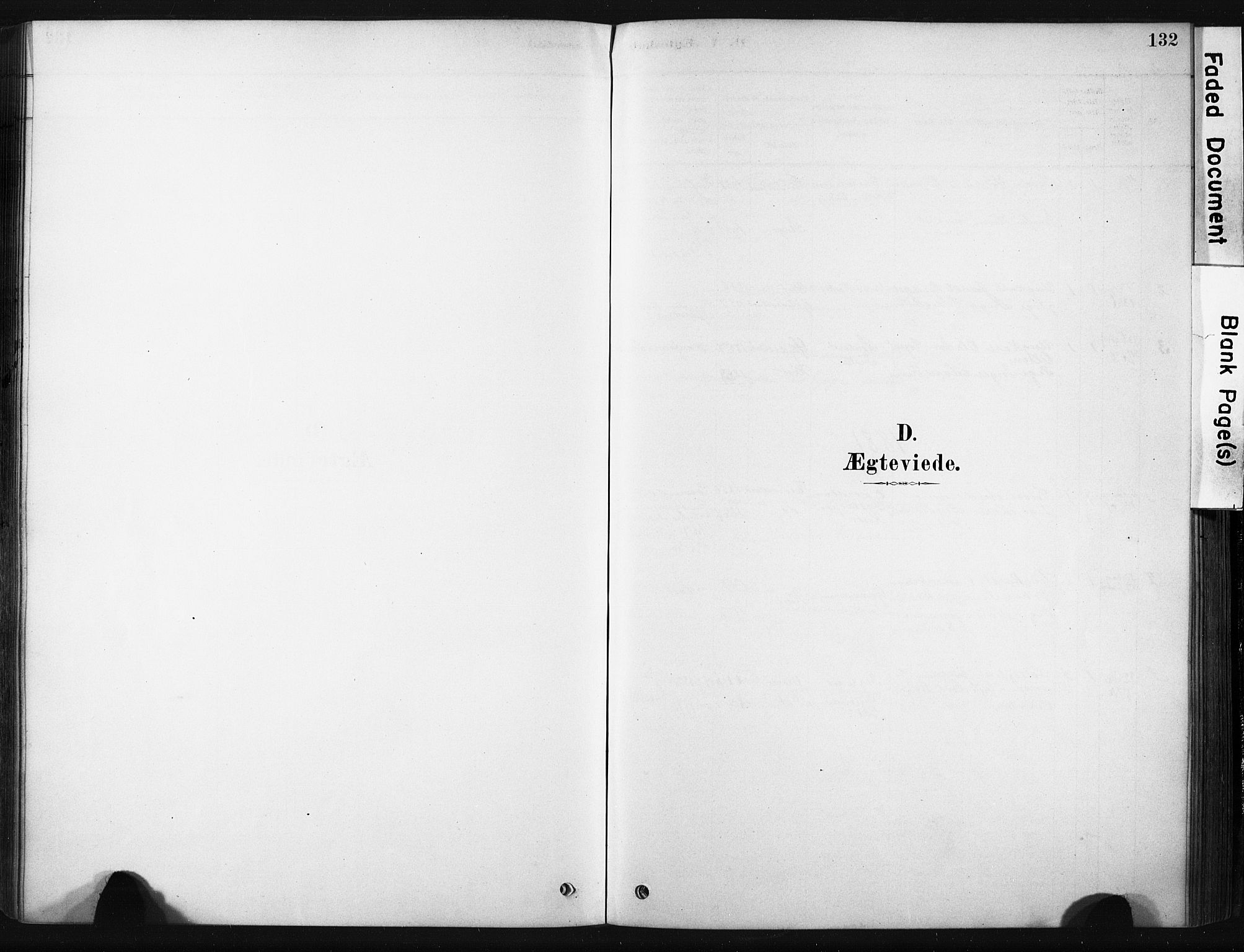 Ministerialprotokoller, klokkerbøker og fødselsregistre - Nordland, SAT/A-1459/808/L0128: Parish register (official) no. 808A01, 1880-1902, p. 132