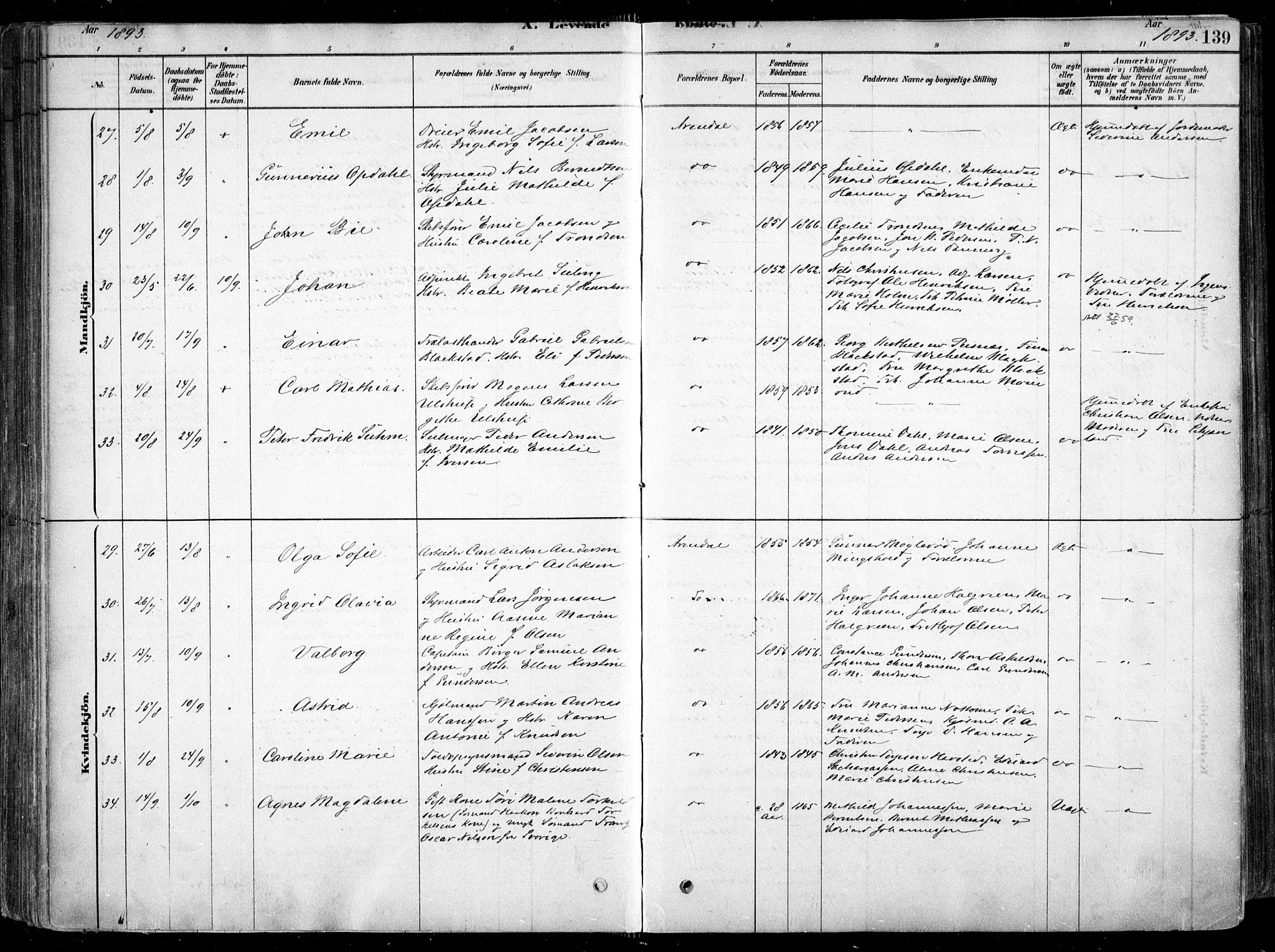 Arendal sokneprestkontor, Trefoldighet, AV/SAK-1111-0040/F/Fa/L0008: Parish register (official) no. A 8, 1878-1899, p. 139