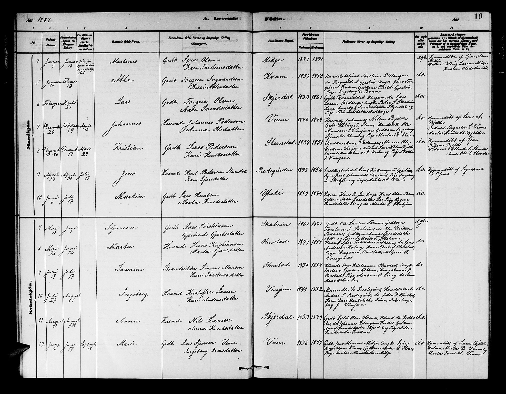 Aurland sokneprestembete, AV/SAB-A-99937/H/Hb/Hba/L0002: Parish register (copy) no. A 2, 1880-1895, p. 19