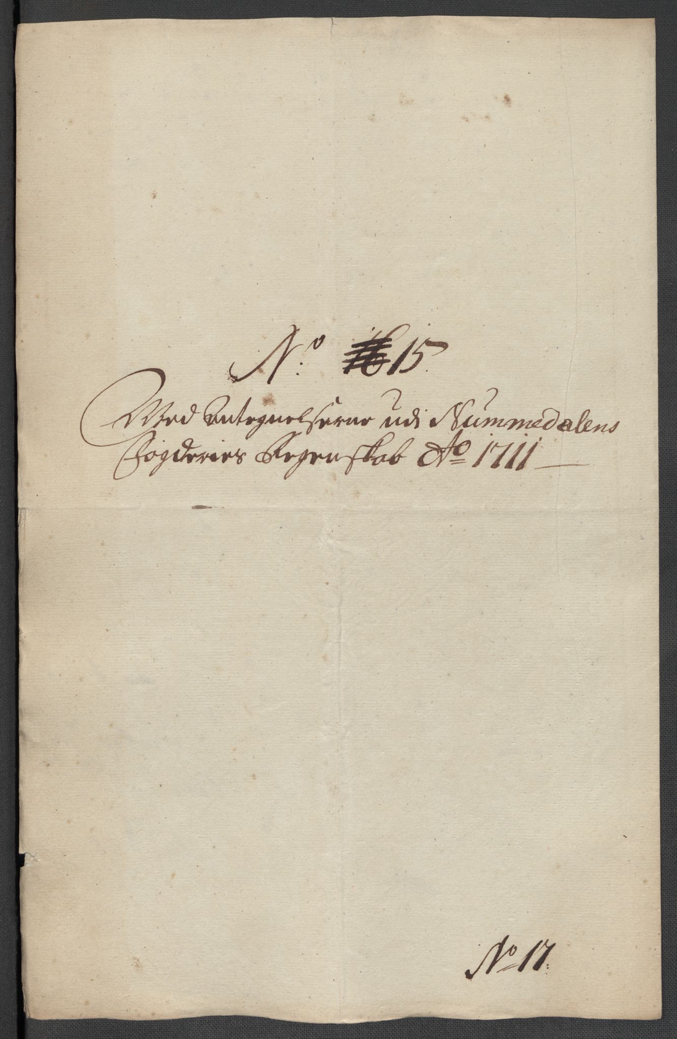 Rentekammeret inntil 1814, Reviderte regnskaper, Fogderegnskap, RA/EA-4092/R64/L4432: Fogderegnskap Namdal, 1711, p. 296