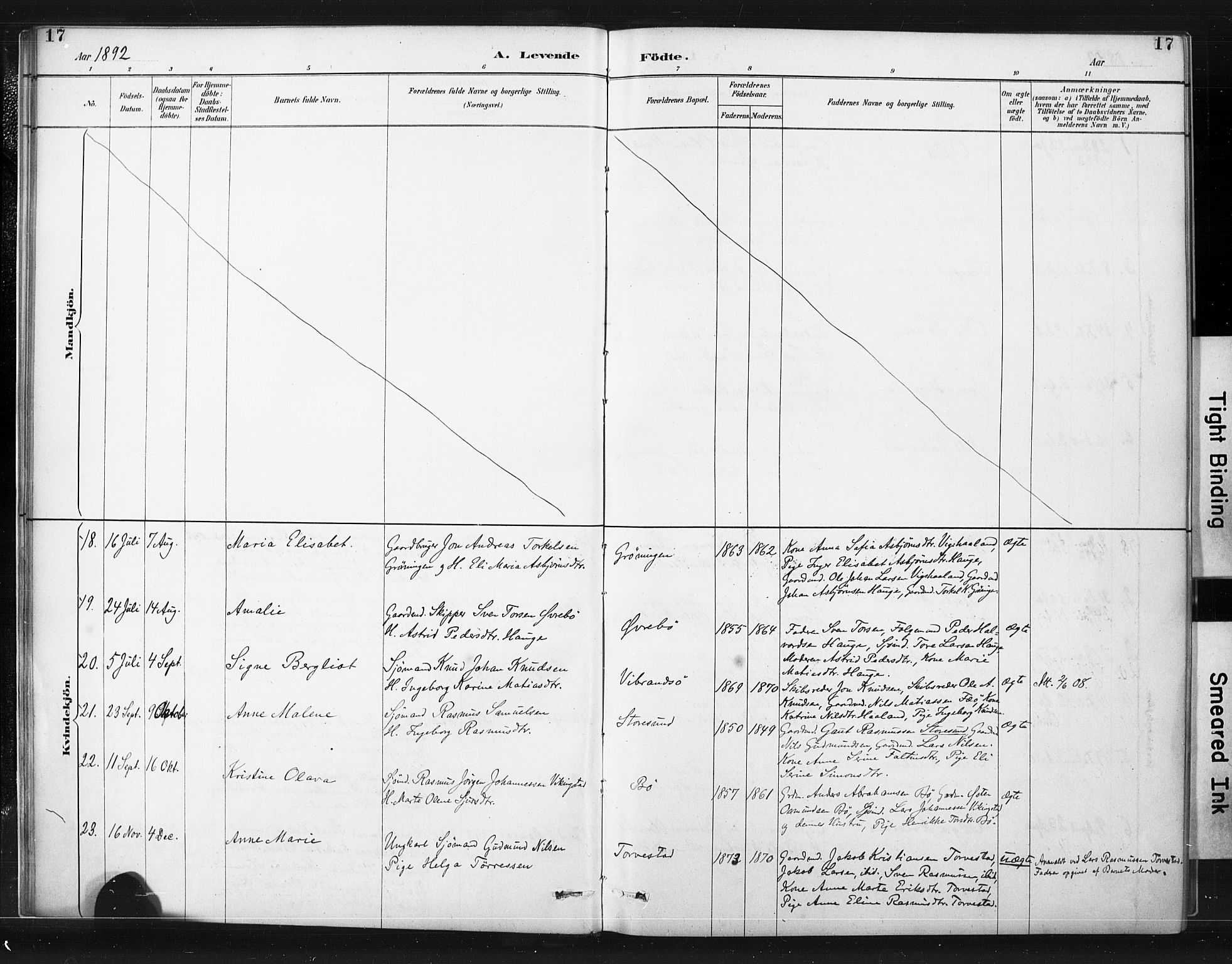 Torvastad sokneprestkontor, SAST/A -101857/H/Ha/Haa/L0015: Parish register (official) no. A 14, 1888-1899, p. 17