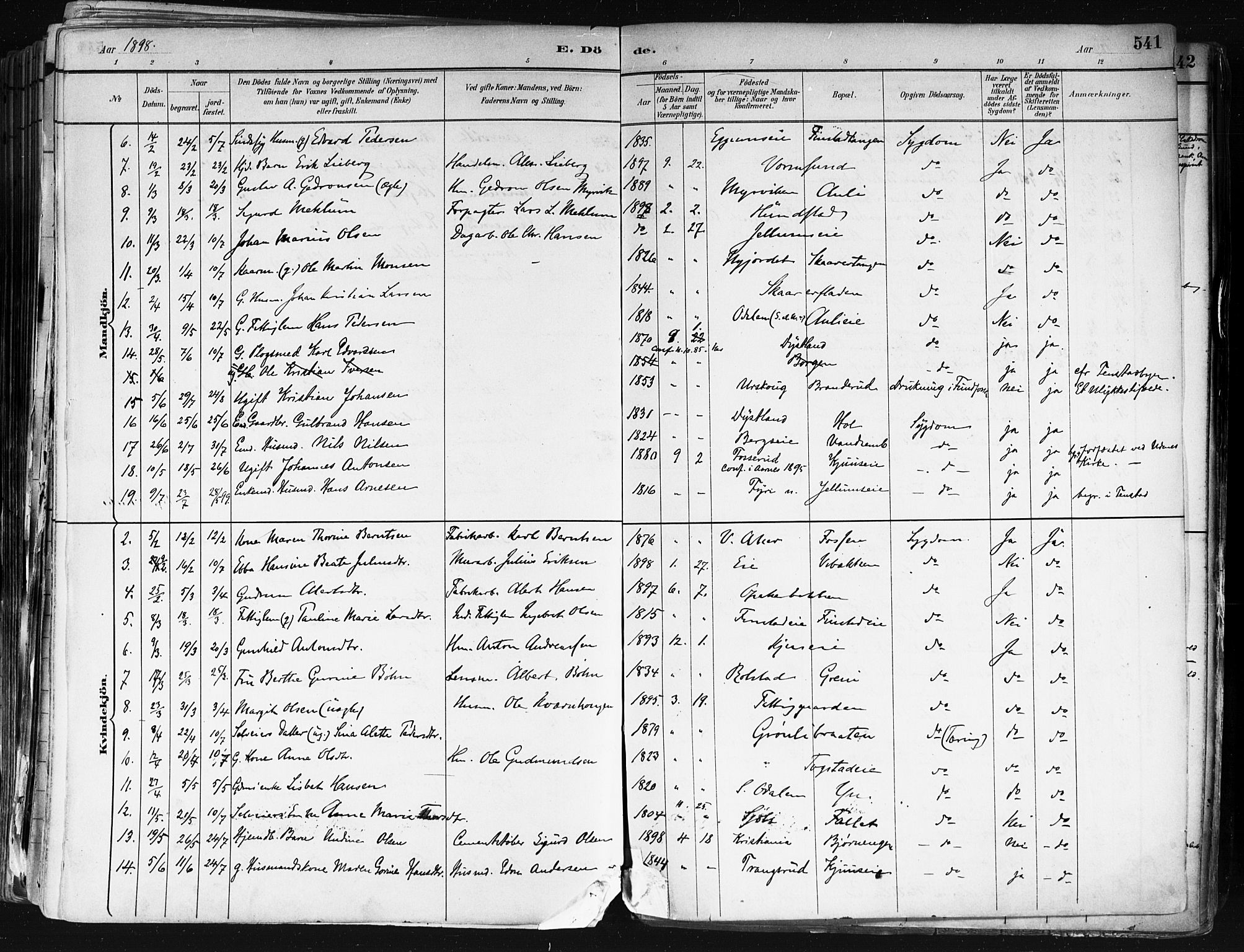 Nes prestekontor Kirkebøker, AV/SAO-A-10410/F/Fa/L0010: Parish register (official) no. I 10, 1883-1898, p. 541