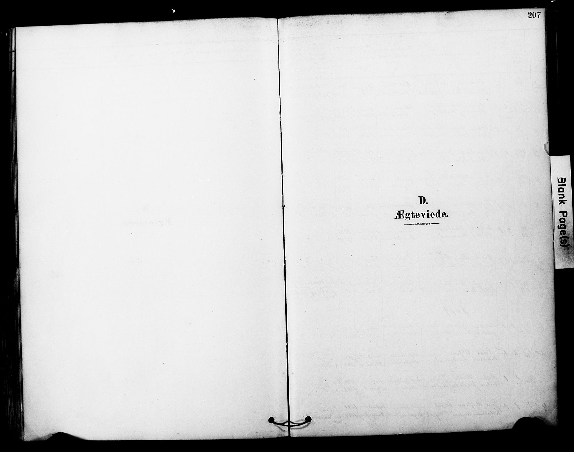 Tranøy sokneprestkontor, SATØ/S-1313/I/Ia/Iaa/L0011kirke: Parish register (official) no. 11, 1878-1904, p. 207