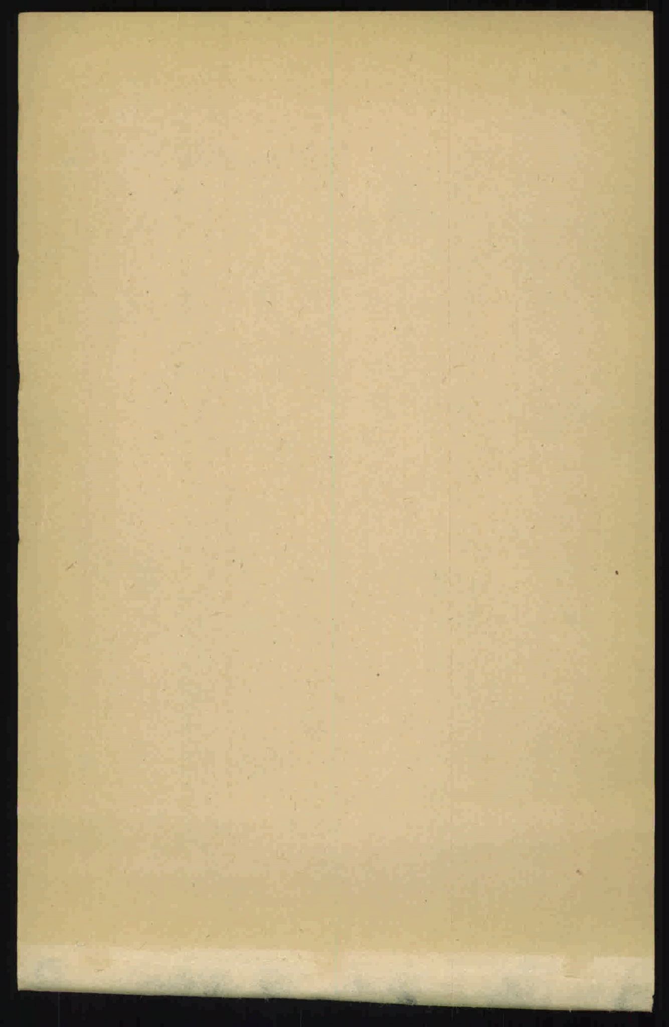 RA, 1891 census for 0134 Onsøy, 1891, p. 811