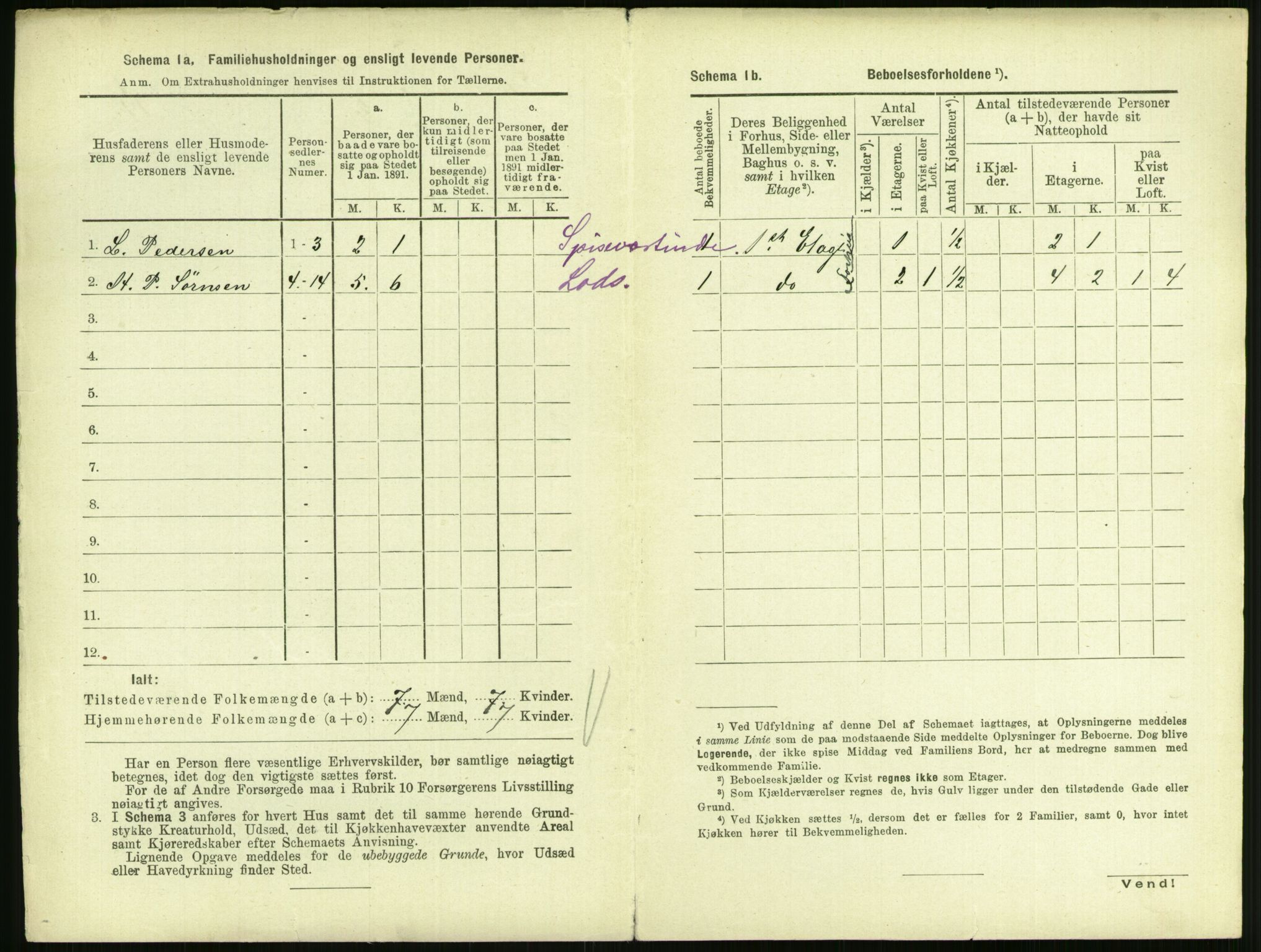 RA, 1891 census for 0707 Larvik, 1891, p. 222