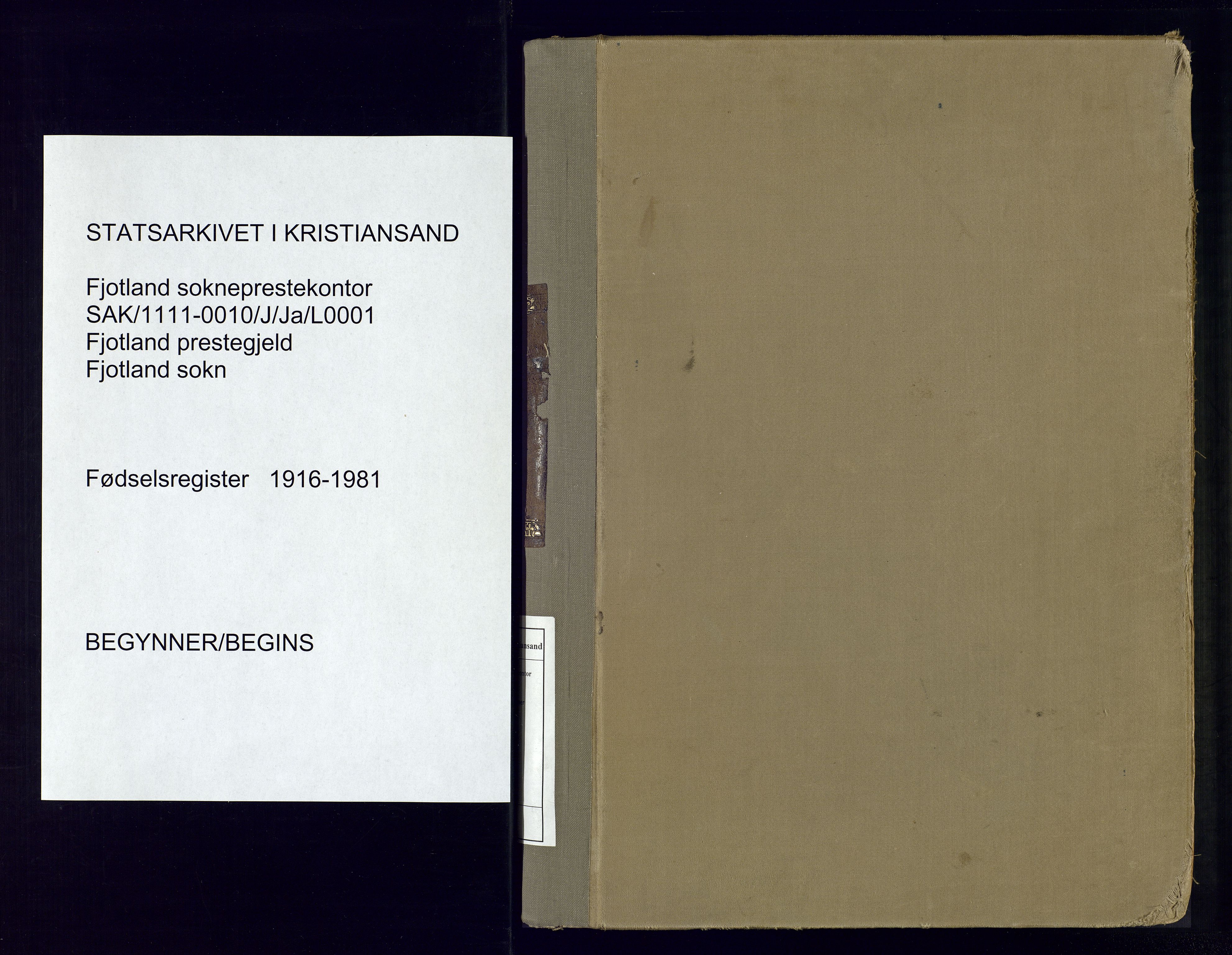 Fjotland sokneprestkontor, SAK/1111-0010/J/Ja/L0001: Birth register no. 1, 1916-1981