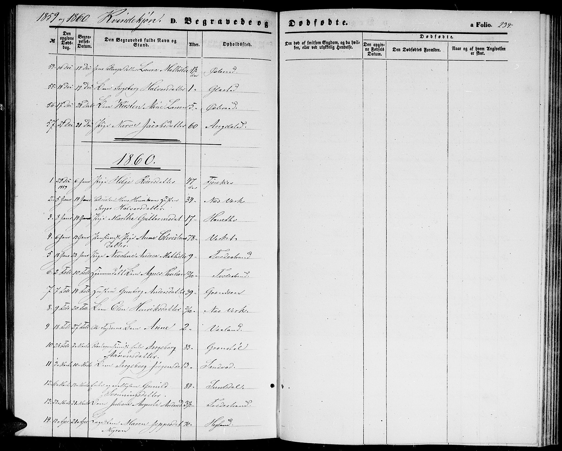 Holt sokneprestkontor, AV/SAK-1111-0021/F/Fb/L0008: Parish register (copy) no. B 8, 1858-1871, p. 234