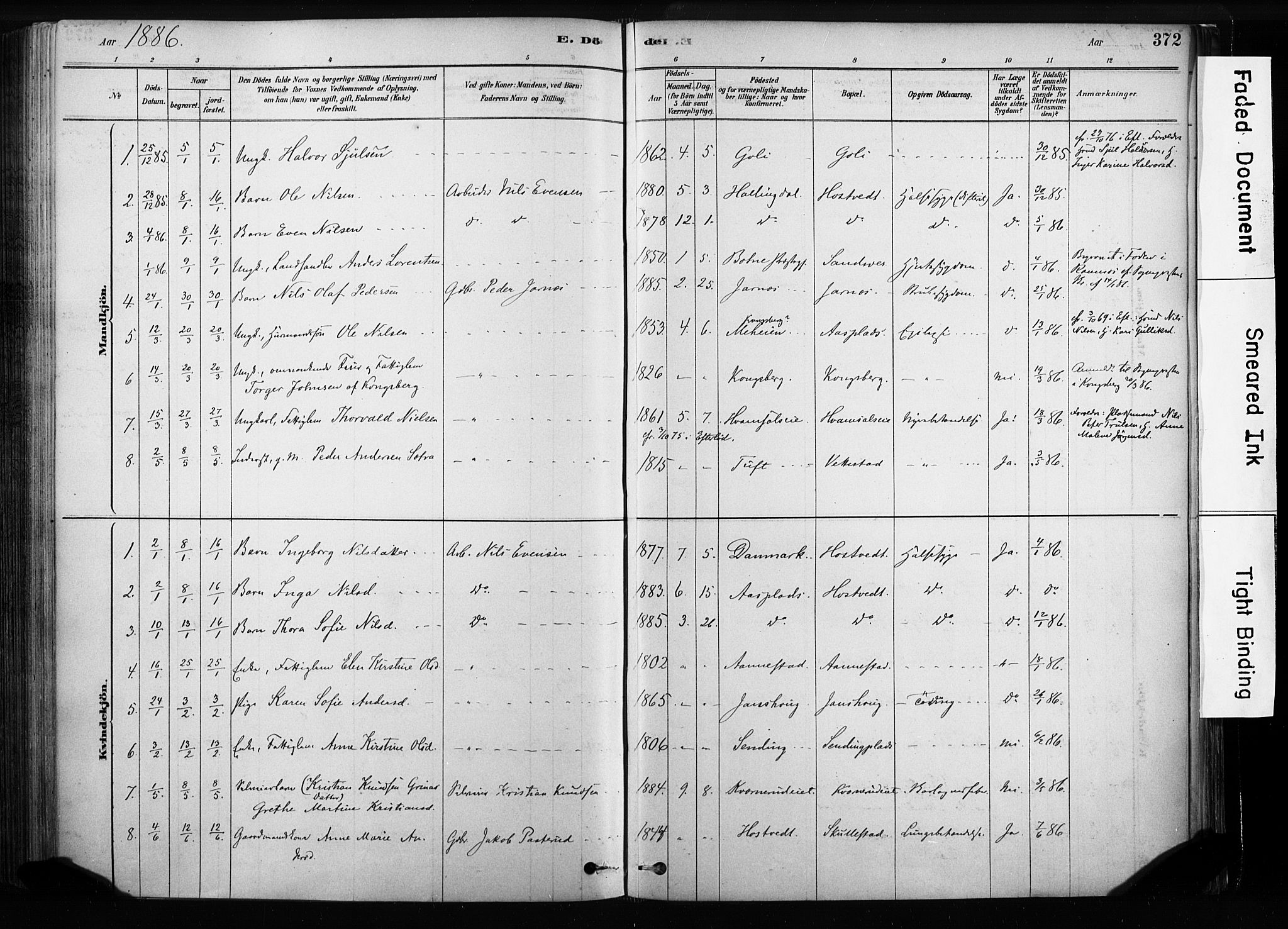 Sandsvær kirkebøker, AV/SAKO-A-244/F/Fb/L0001: Parish register (official) no. II 1, 1878-1906, p. 372