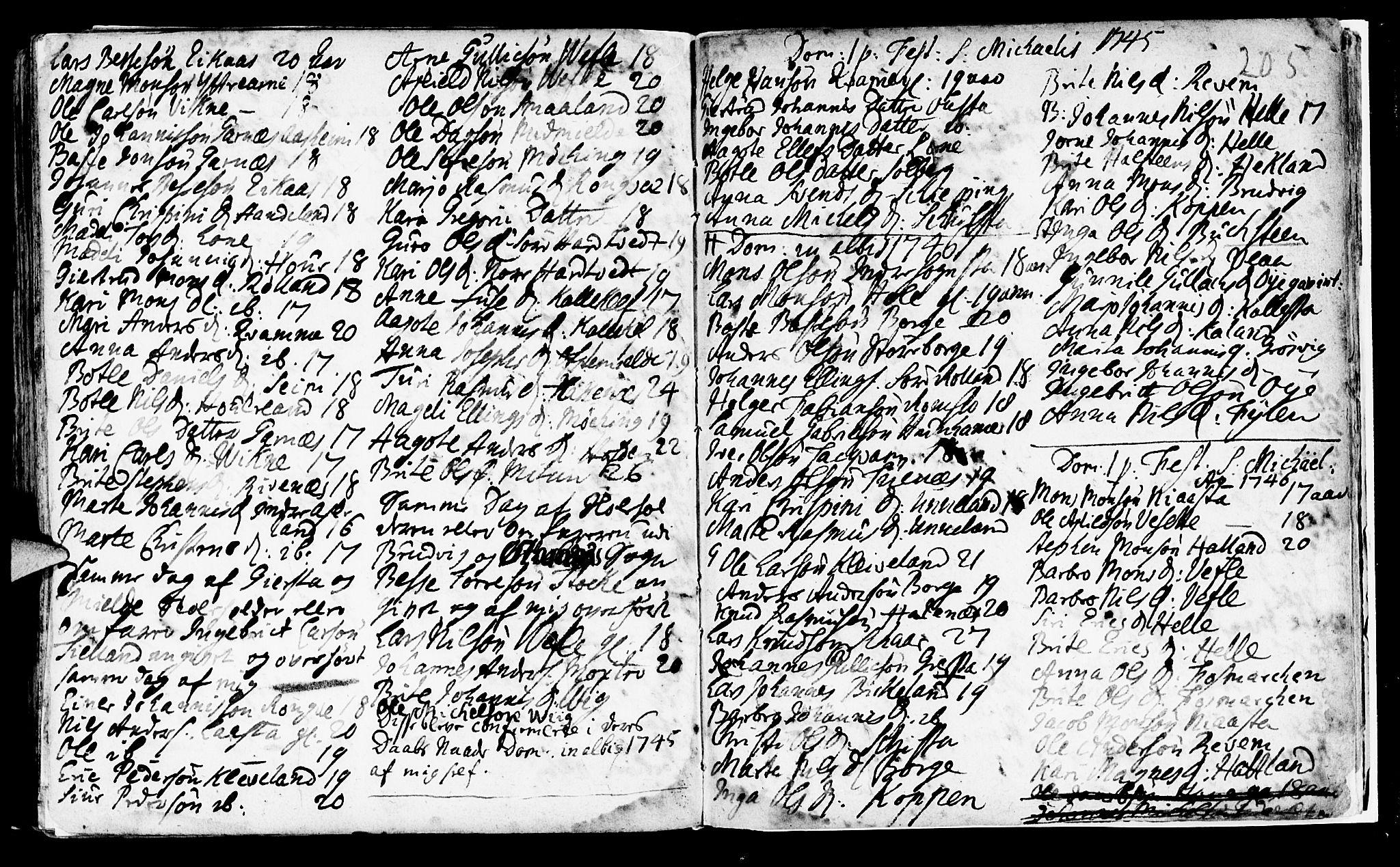 Haus sokneprestembete, SAB/A-75601/H/Haa: Parish register (official) no. A 5, 1733-1747, p. 205