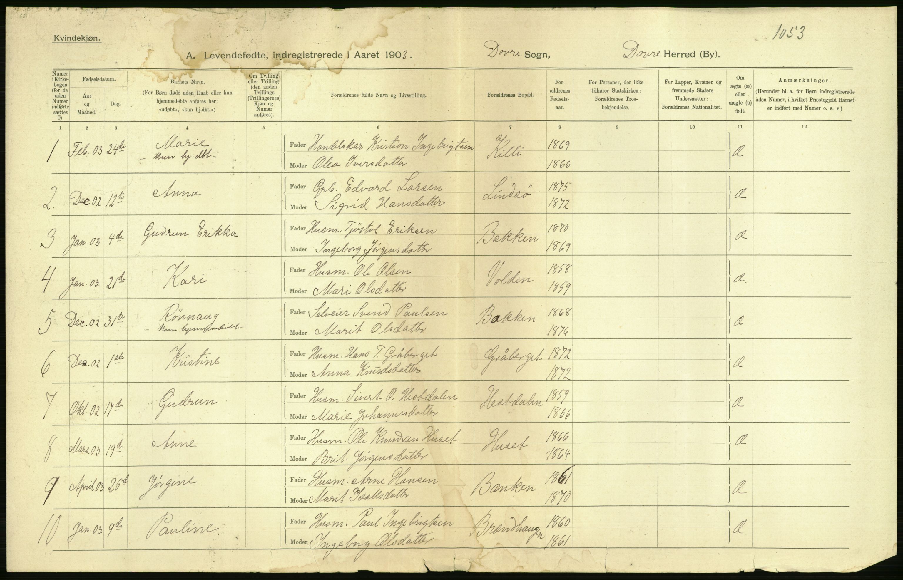 Statistisk sentralbyrå, Sosiodemografiske emner, Befolkning, AV/RA-S-2228/D/Df/Dfa/Dfaa/L0006: Kristians amt: Fødte, gifte, døde, 1903, p. 4