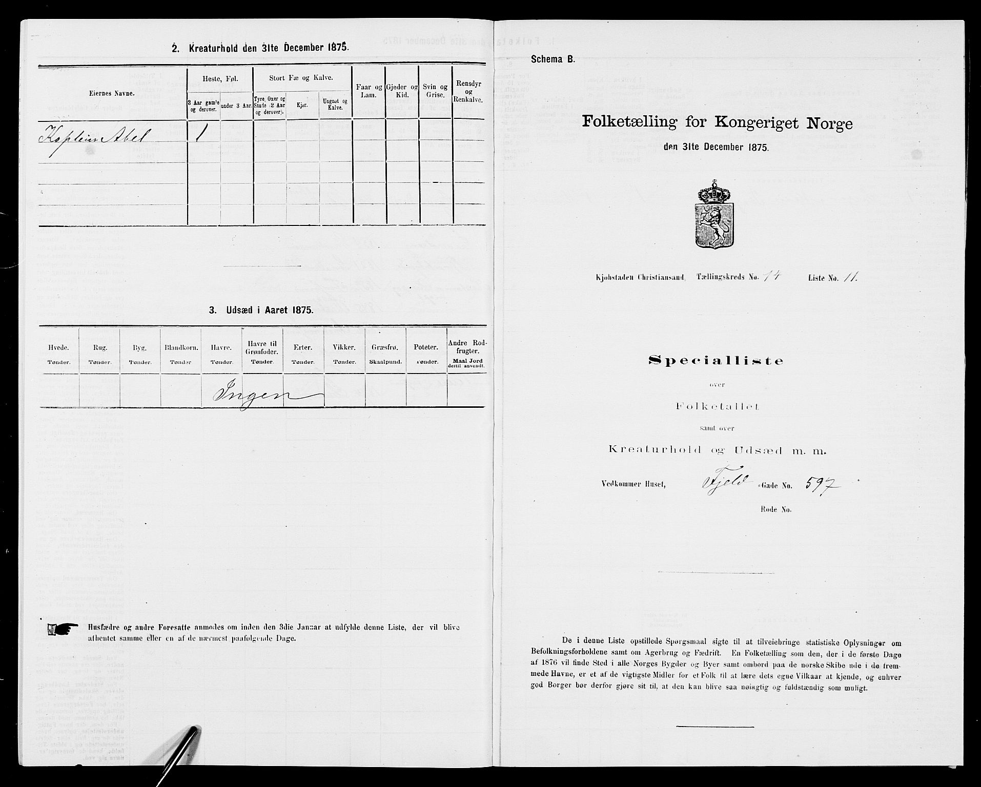 SAK, 1875 census for 1001P Kristiansand, 1875, p. 2196