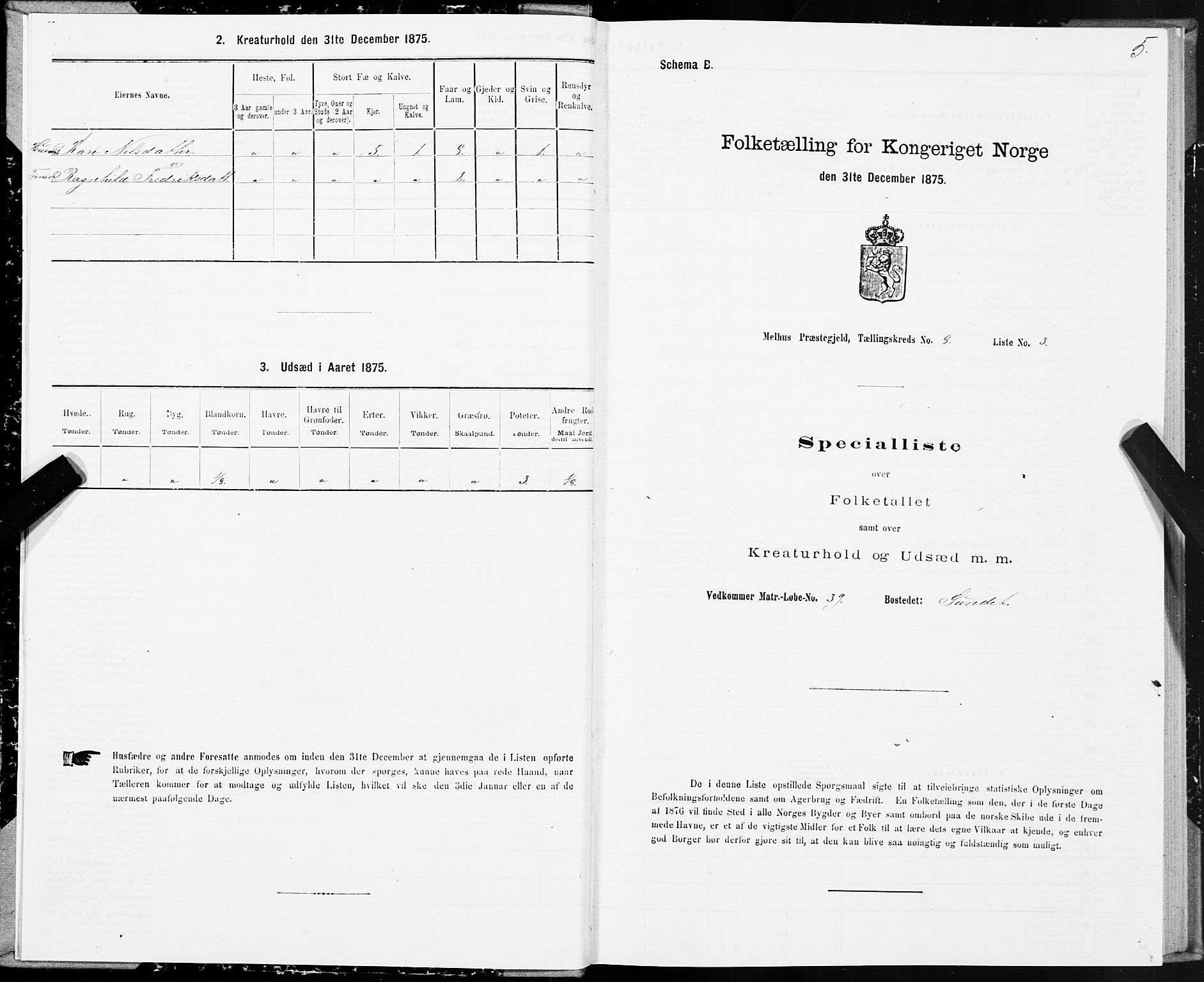 SAT, 1875 census for 1653P Melhus, 1875, p. 7005