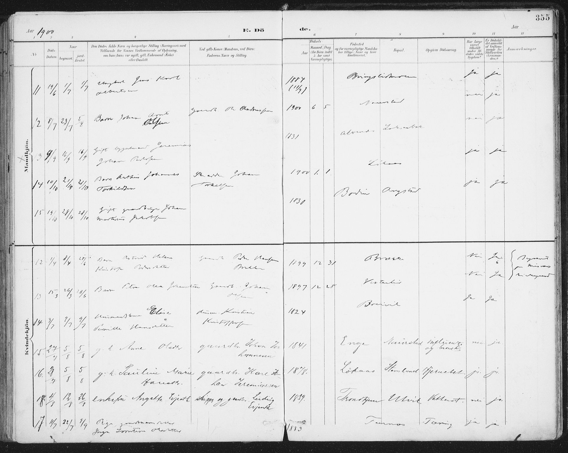 Ministerialprotokoller, klokkerbøker og fødselsregistre - Nordland, AV/SAT-A-1459/852/L0741: Parish register (official) no. 852A11, 1894-1917, p. 355