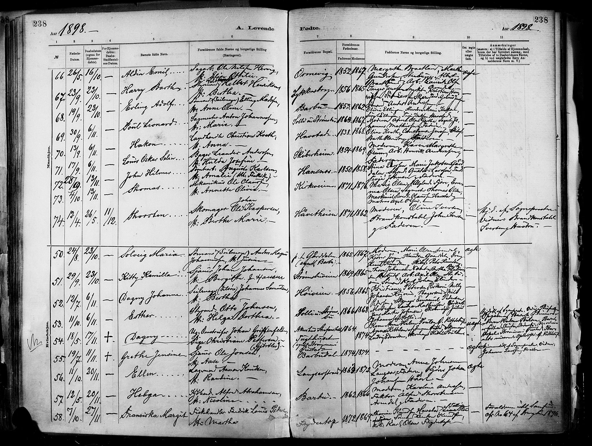 Barbu sokneprestkontor, AV/SAK-1111-0003/F/Fa/L0002: Parish register (official) no. A 2, 1883-1898, p. 238