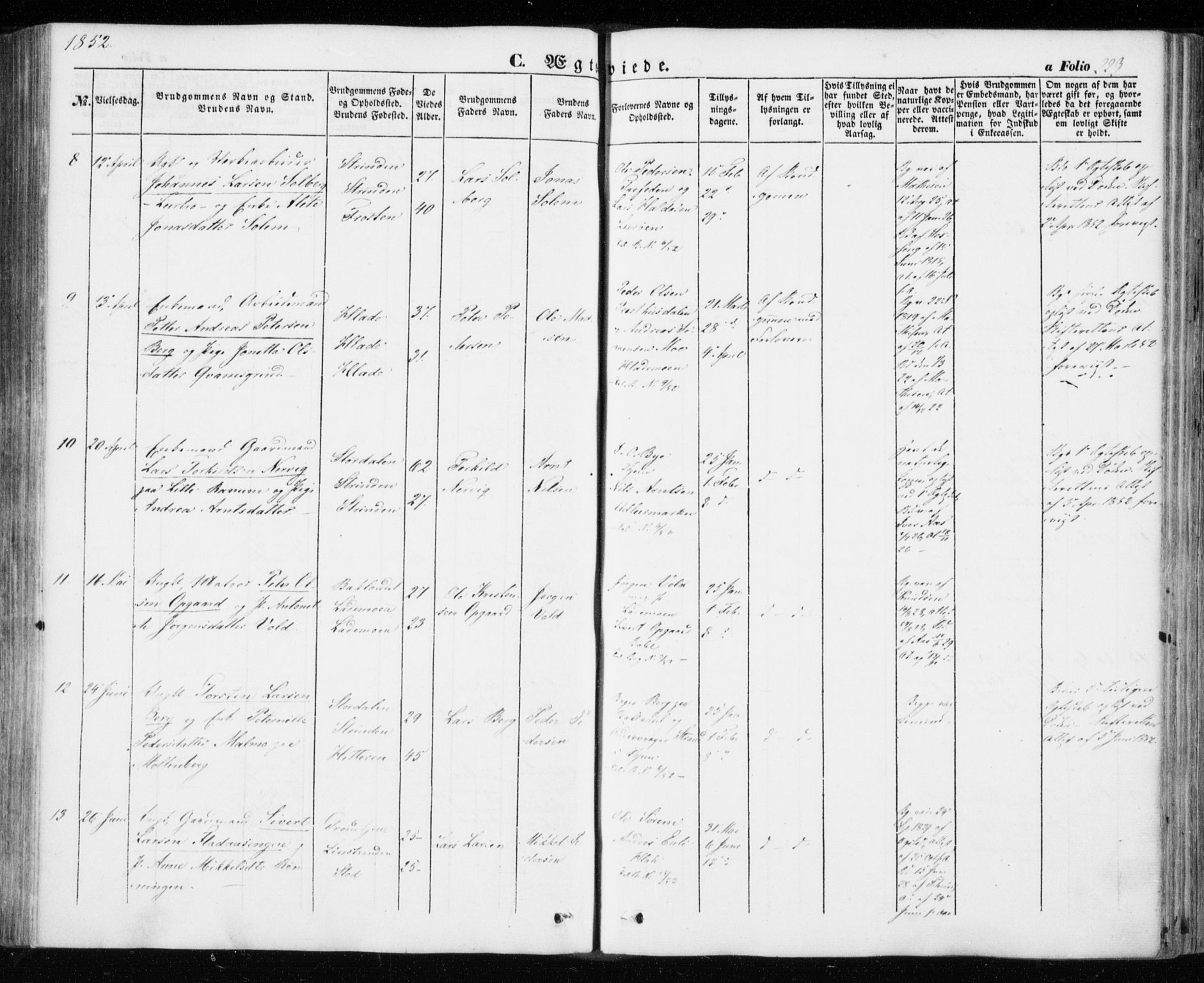 Ministerialprotokoller, klokkerbøker og fødselsregistre - Sør-Trøndelag, SAT/A-1456/606/L0291: Parish register (official) no. 606A06, 1848-1856, p. 223
