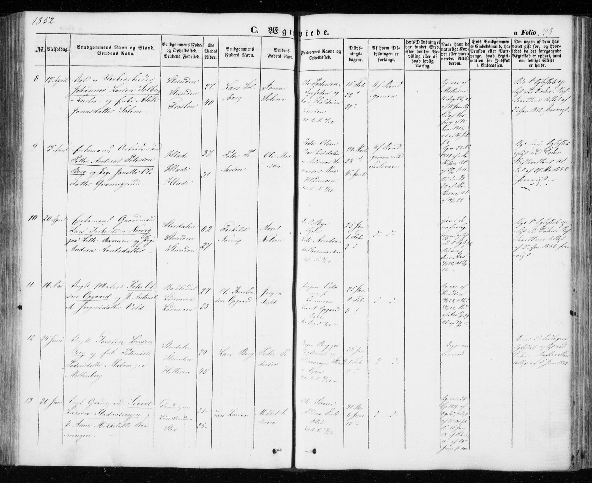 Ministerialprotokoller, klokkerbøker og fødselsregistre - Sør-Trøndelag, AV/SAT-A-1456/606/L0291: Parish register (official) no. 606A06, 1848-1856, p. 223