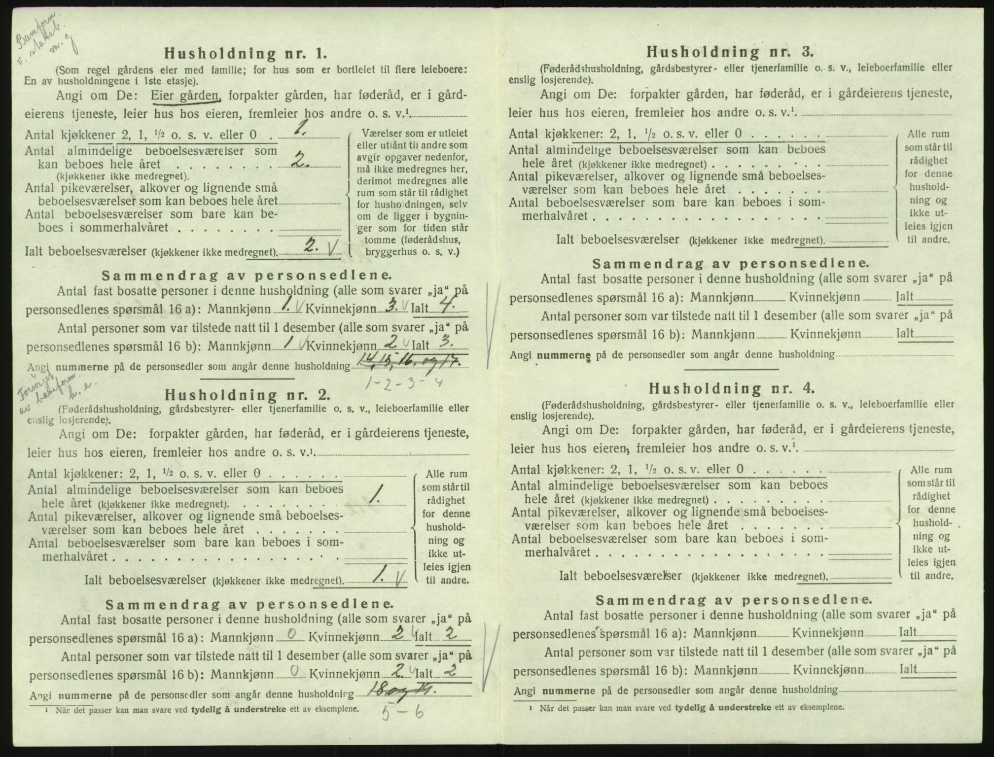 SAK, 1920 census for Hornnes, 1920, p. 210