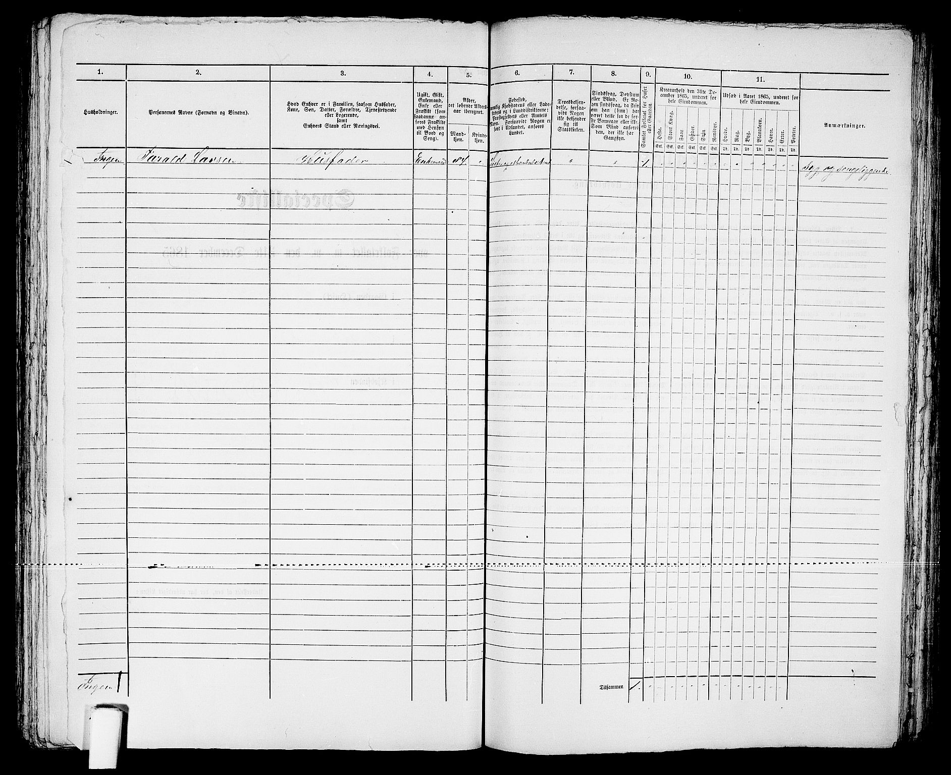 RA, 1865 census for Kristiansand, 1865, p. 902