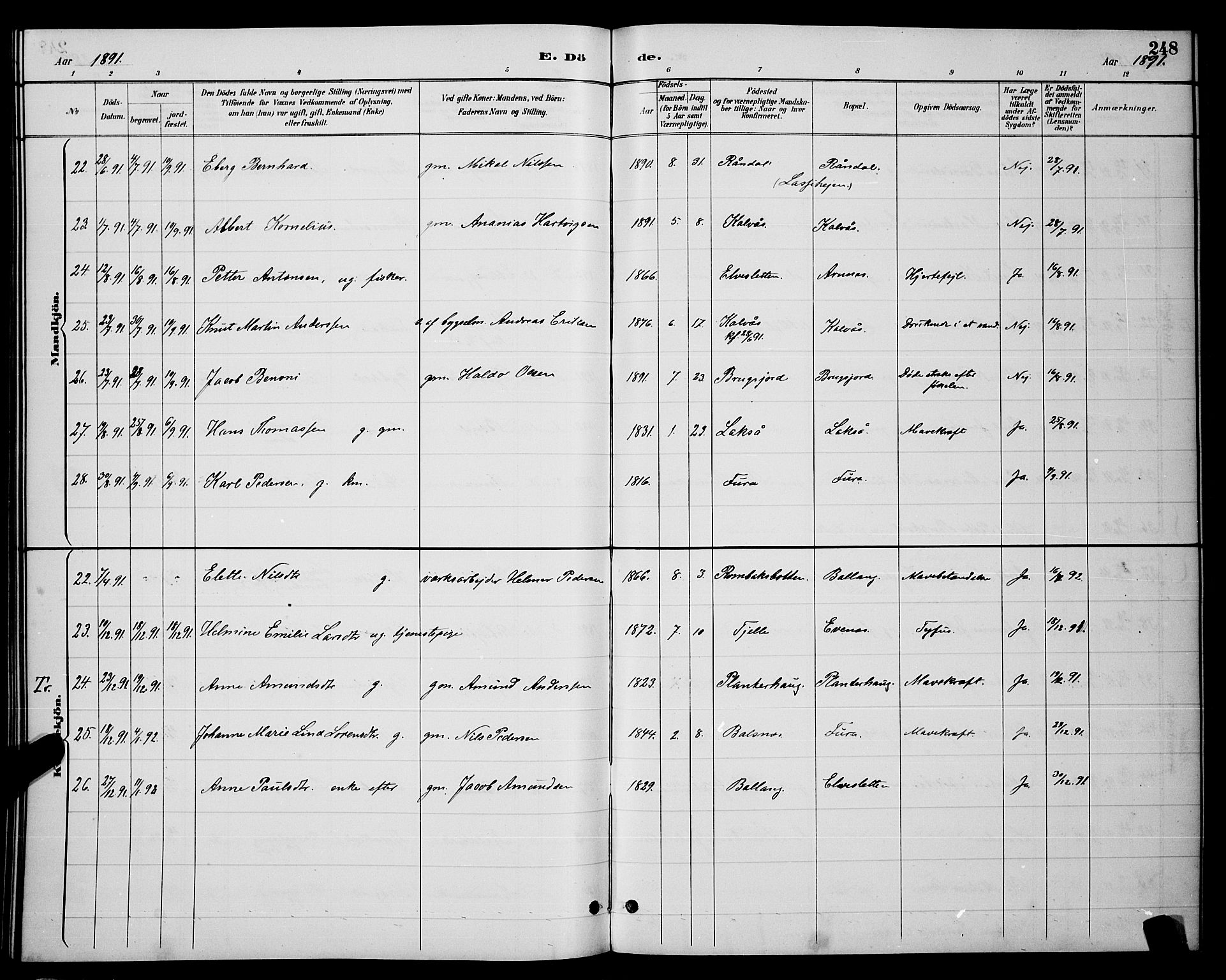 Ministerialprotokoller, klokkerbøker og fødselsregistre - Nordland, AV/SAT-A-1459/863/L0914: Parish register (copy) no. 863C04, 1886-1897, p. 248