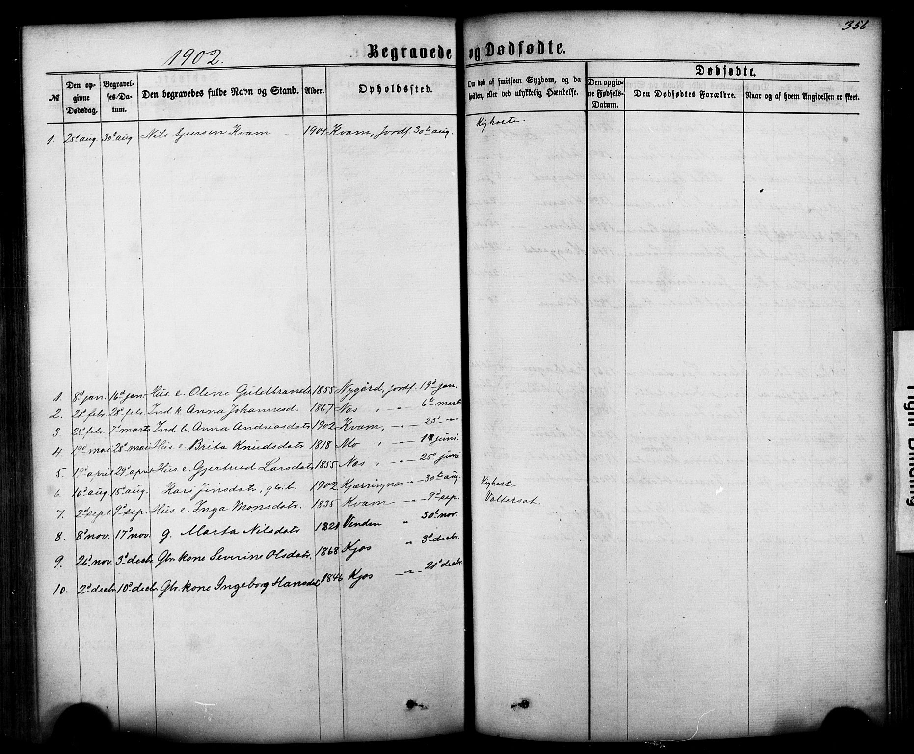 Hafslo sokneprestembete, SAB/A-80301/H/Hab/Haba/L0001: Parish register (copy) no. A 1, 1866-1908, p. 356