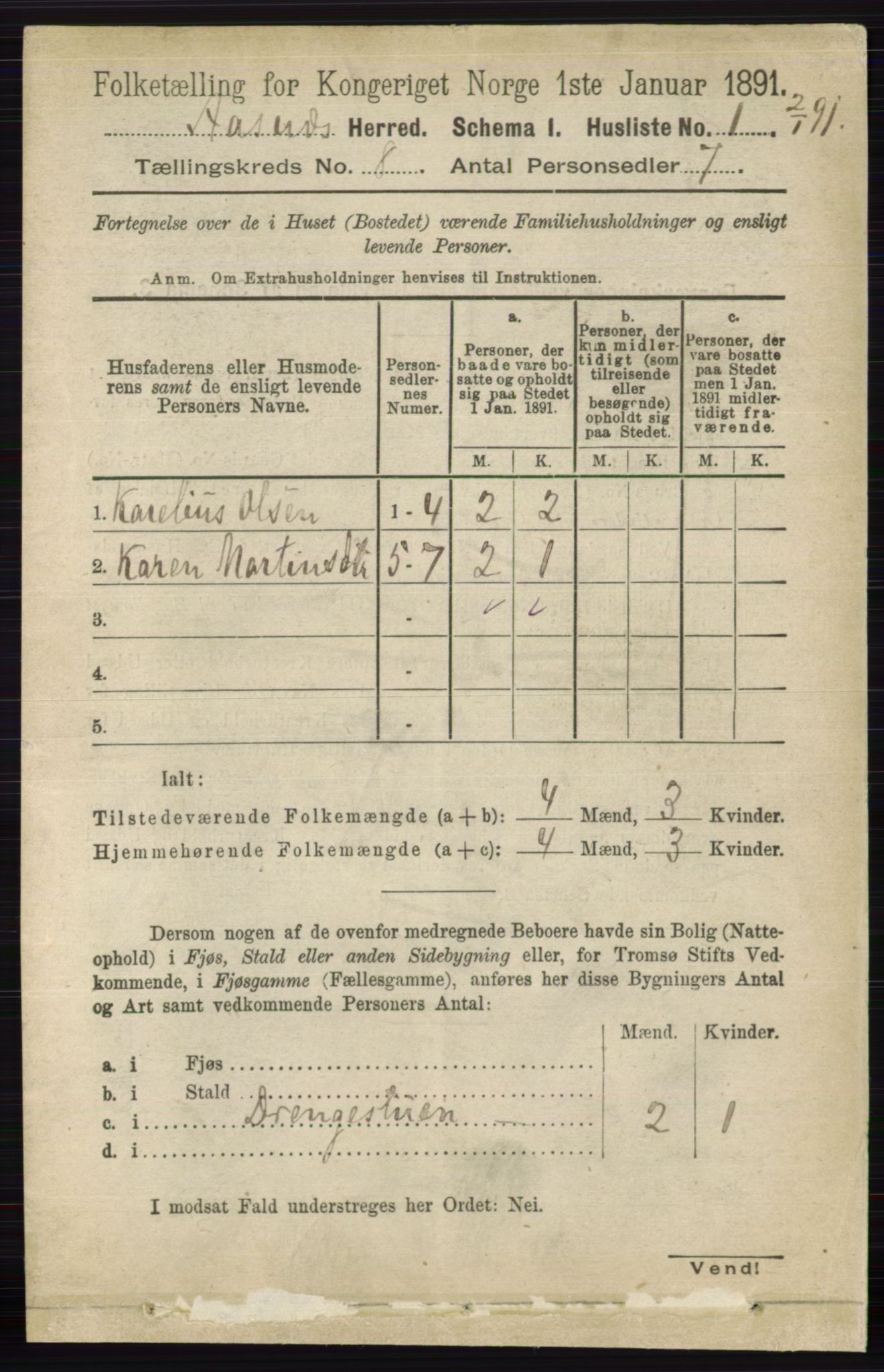 RA, 1891 census for 0425 Åsnes, 1891, p. 4118