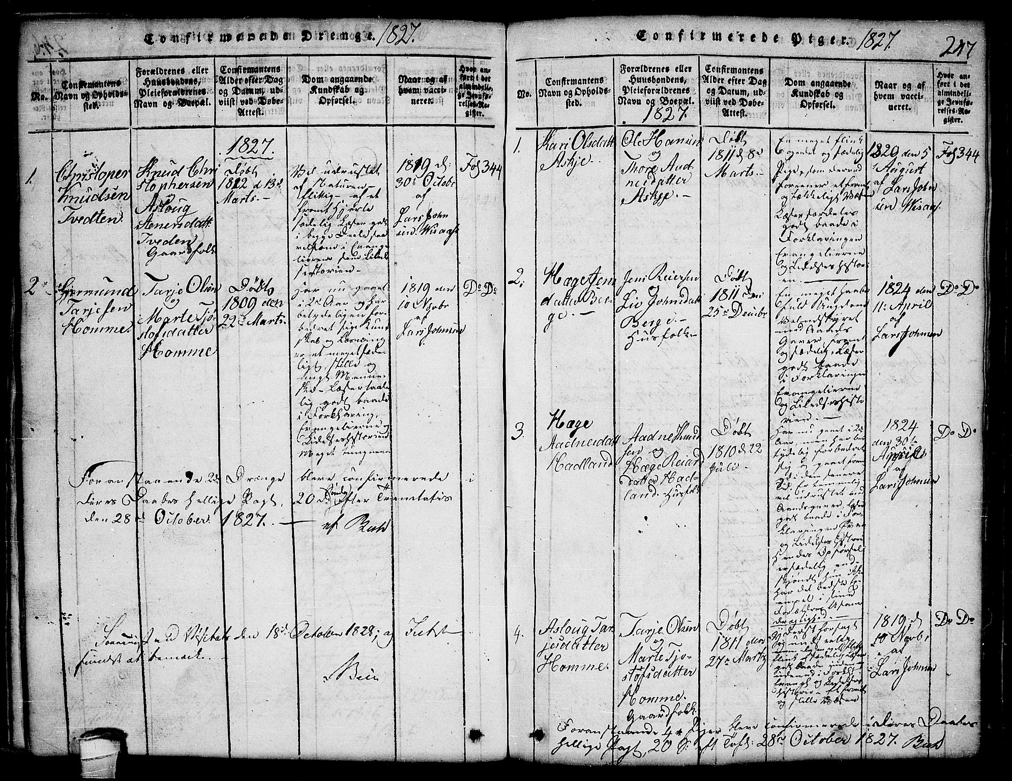 Lårdal kirkebøker, SAKO/A-284/G/Ga/L0001: Parish register (copy) no. I 1, 1815-1861, p. 247