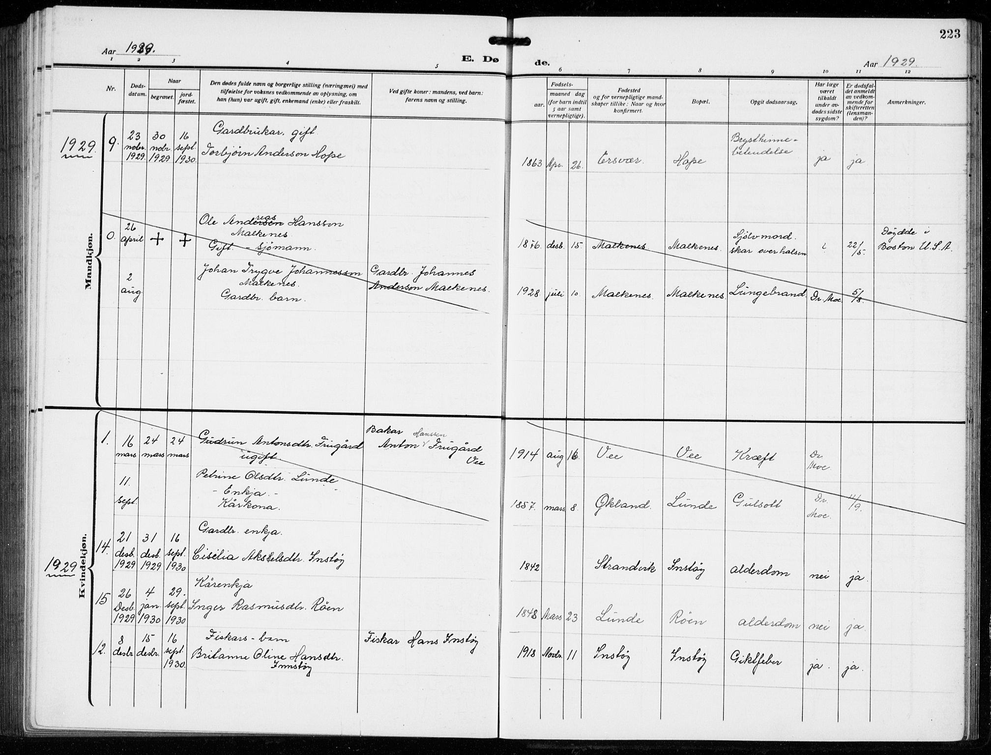 Tysnes sokneprestembete, AV/SAB-A-78601/H/Hab: Parish register (copy) no. B  3, 1918-1935, p. 223