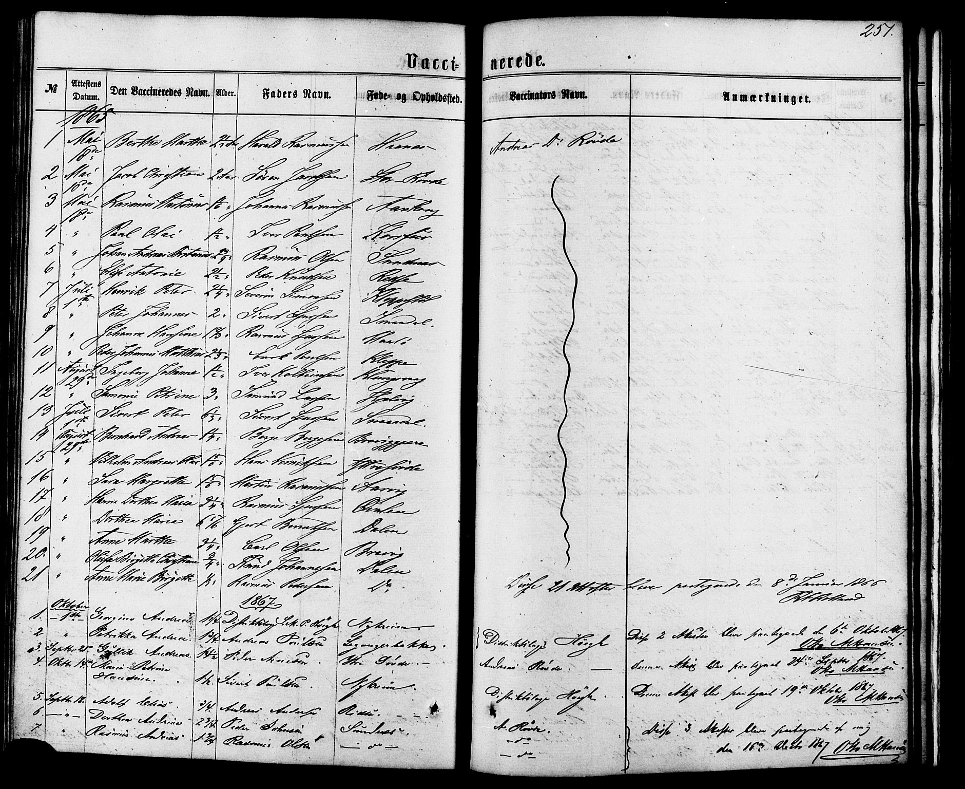 Ministerialprotokoller, klokkerbøker og fødselsregistre - Møre og Romsdal, SAT/A-1454/504/L0055: Parish register (official) no. 504A02, 1861-1884, p. 251