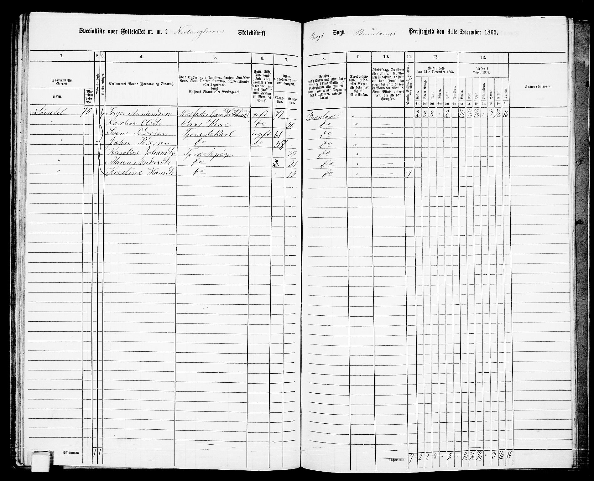 RA, 1865 census for Brunlanes, 1865, p. 158